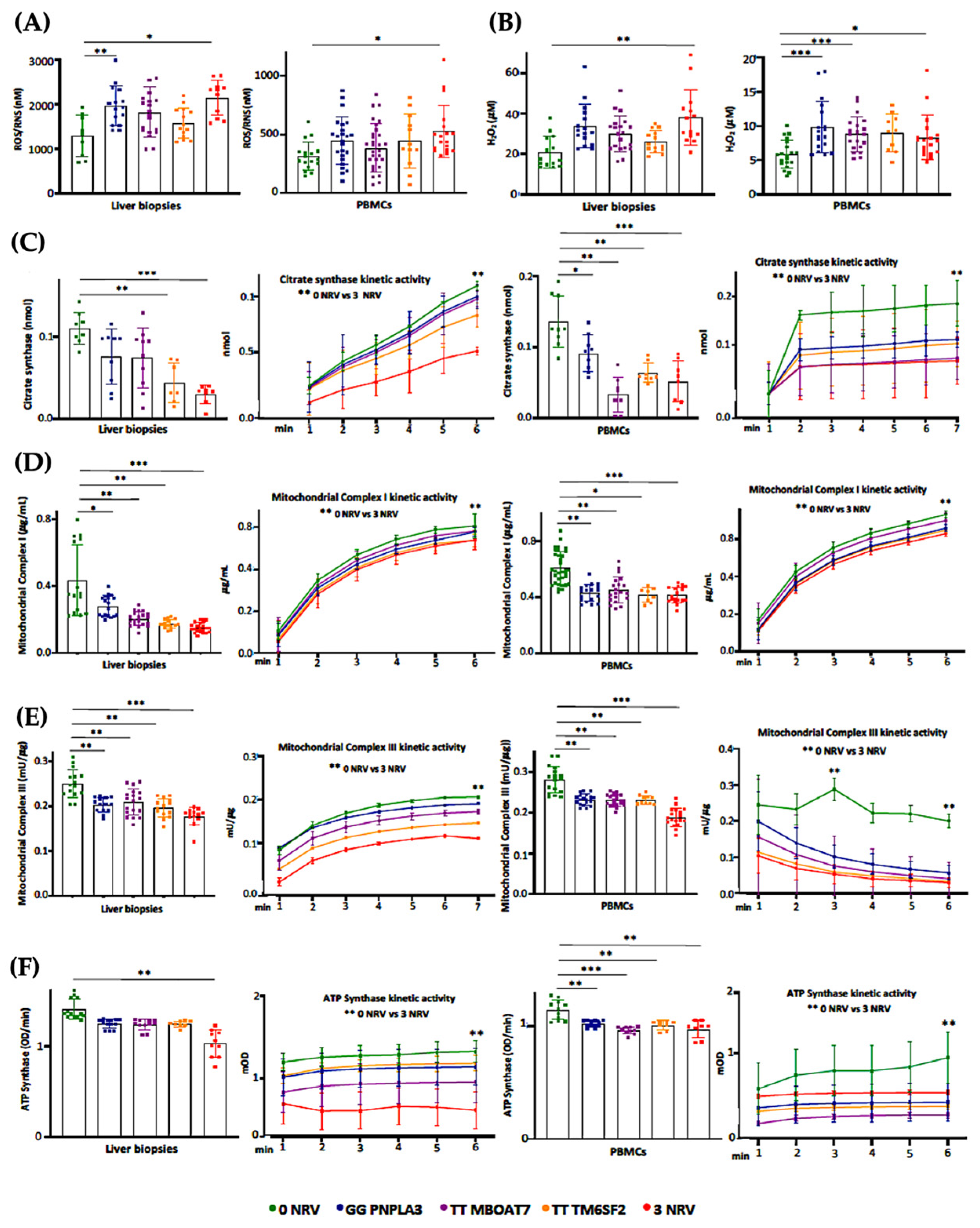 Antioxidants 14 00618 g006