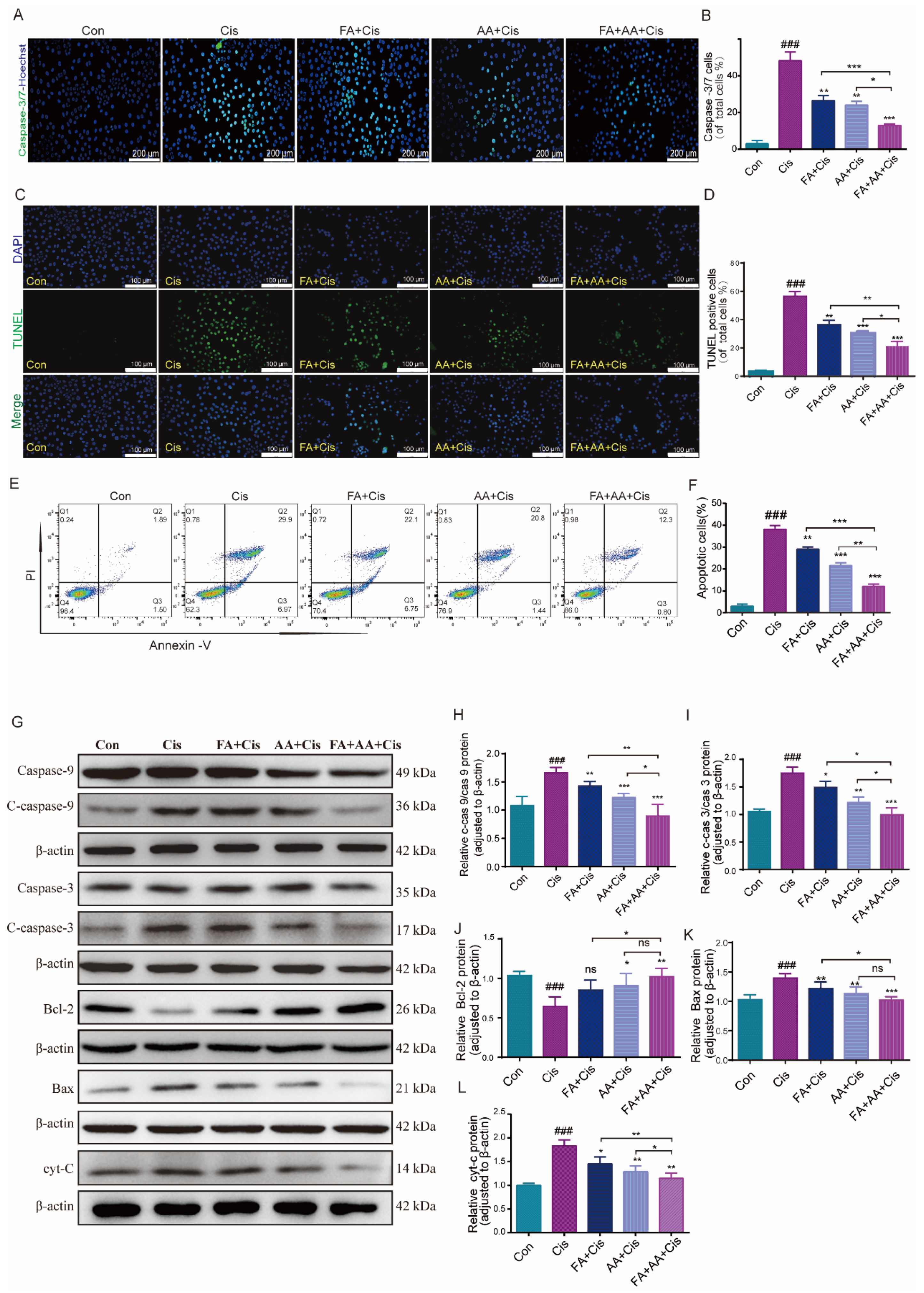 Antioxidants 14 00619 g002 Antioxidants 14 00619 g002