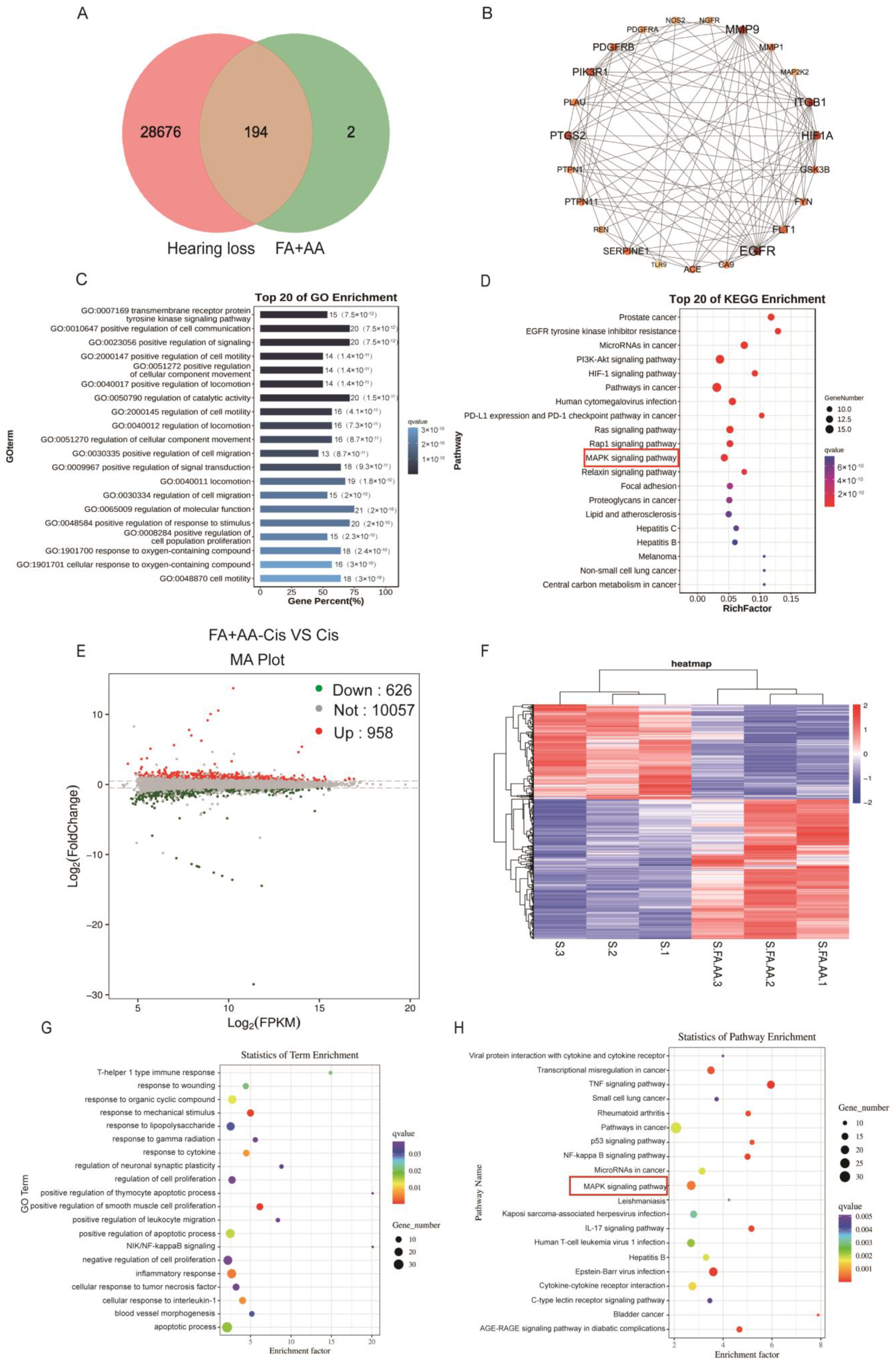 Antioxidants 14 00619 g005 Antioxidants 14 00619 g005