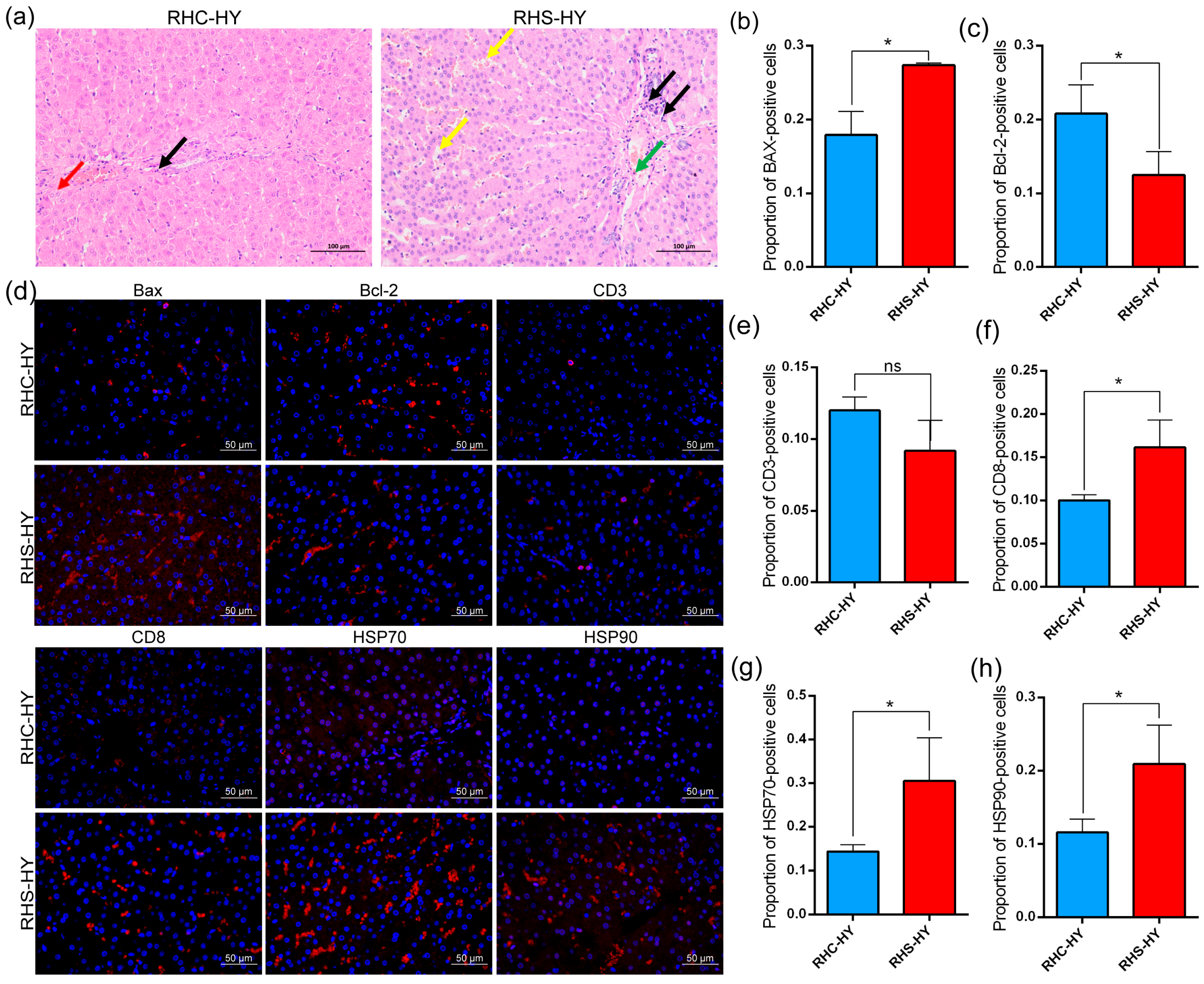 Antioxidants 14 00623 g004 Antioxidants 14 00623 g004