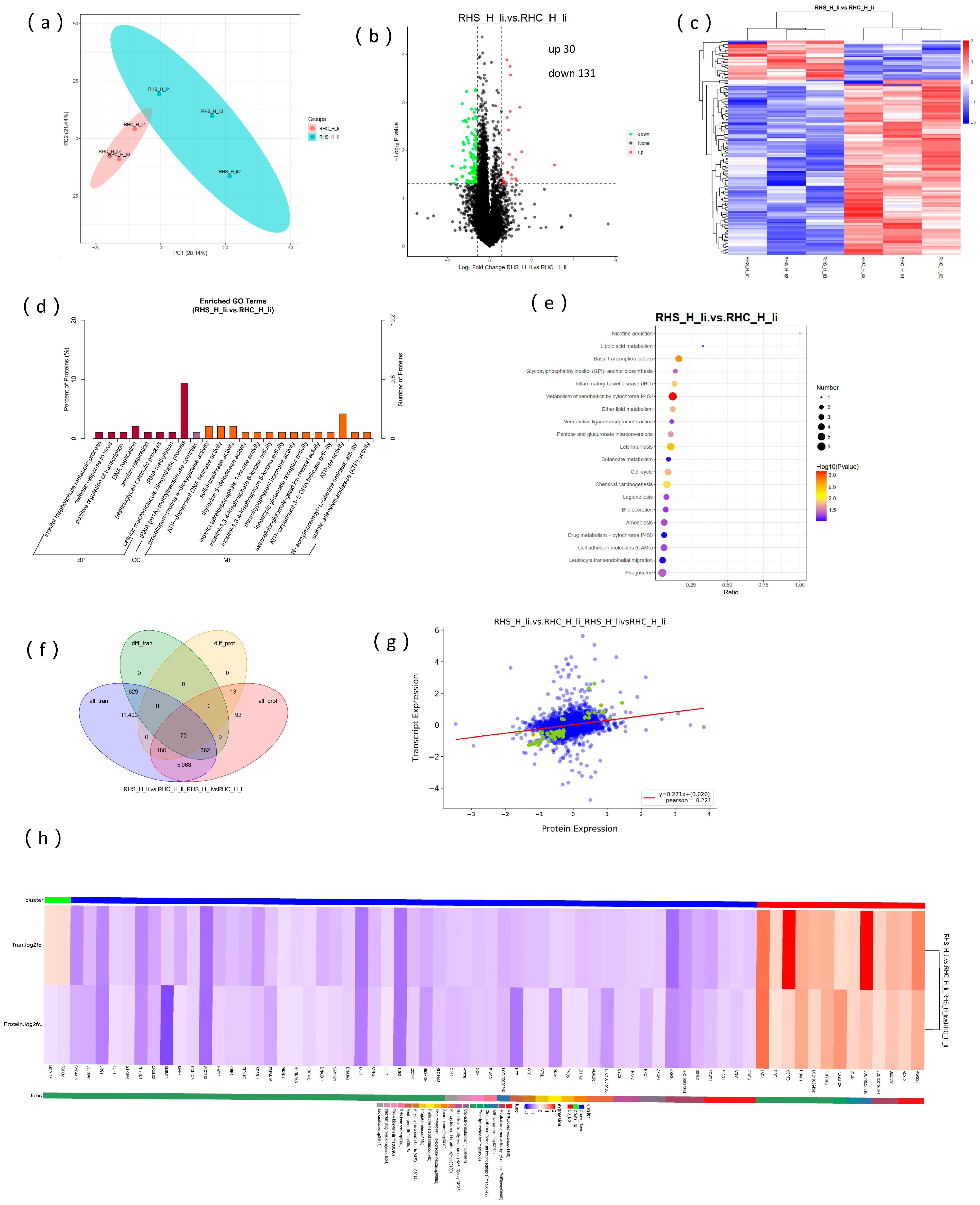 Antioxidants 14 00623 g006 Antioxidants 14 00623 g006