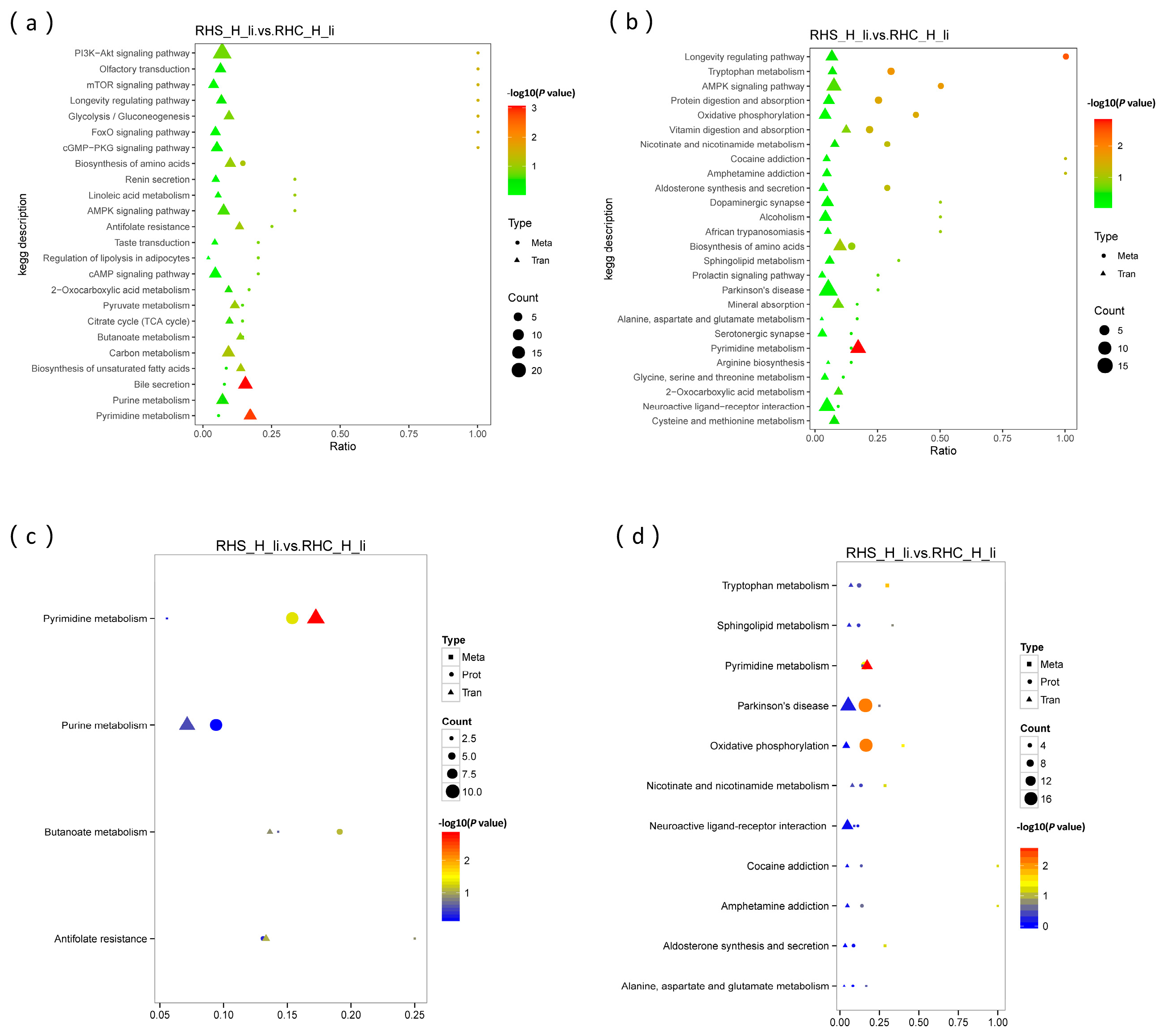 Antioxidants 14 00623 g008 Antioxidants 14 00623 g008