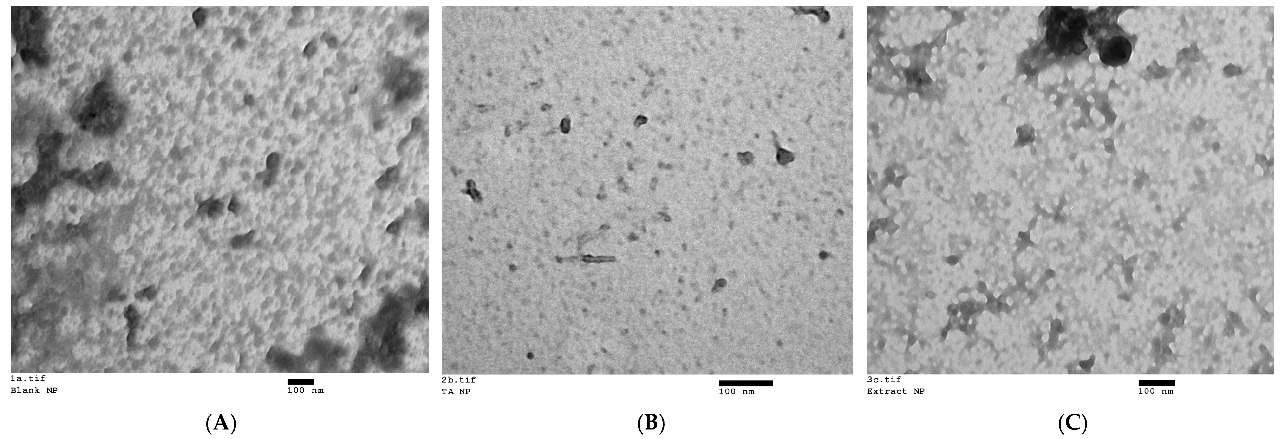 Antioxidants 14 00631 g001