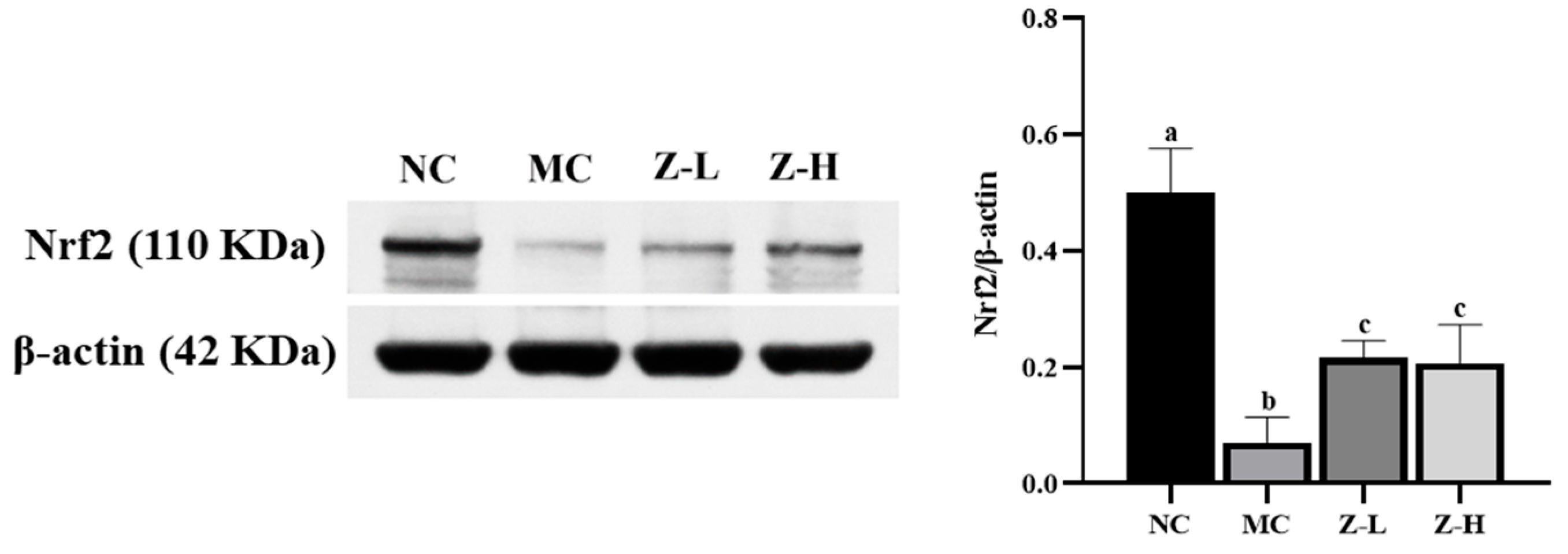 Antioxidants 14 00632 g005