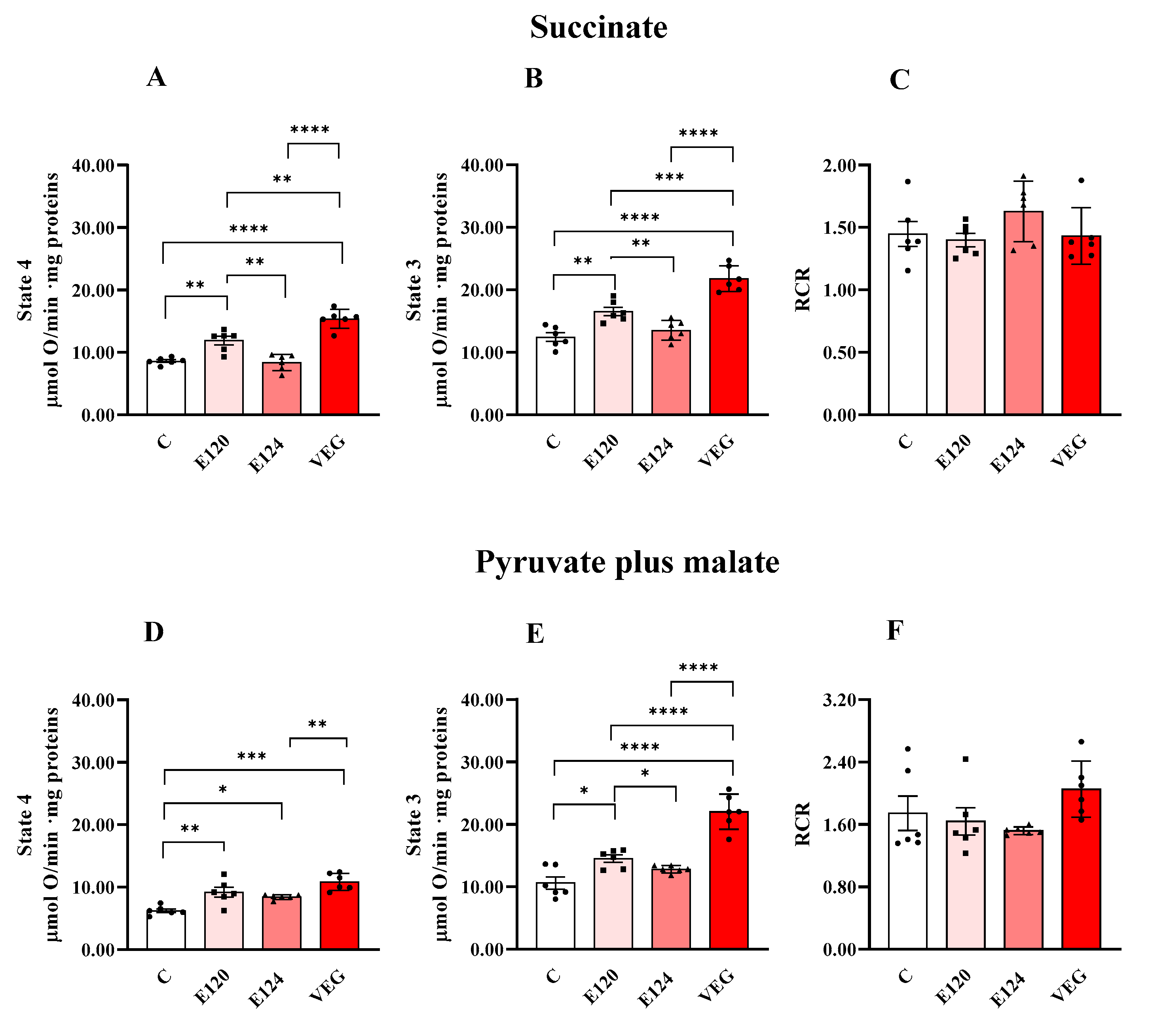 Antioxidants 14 00634 g001