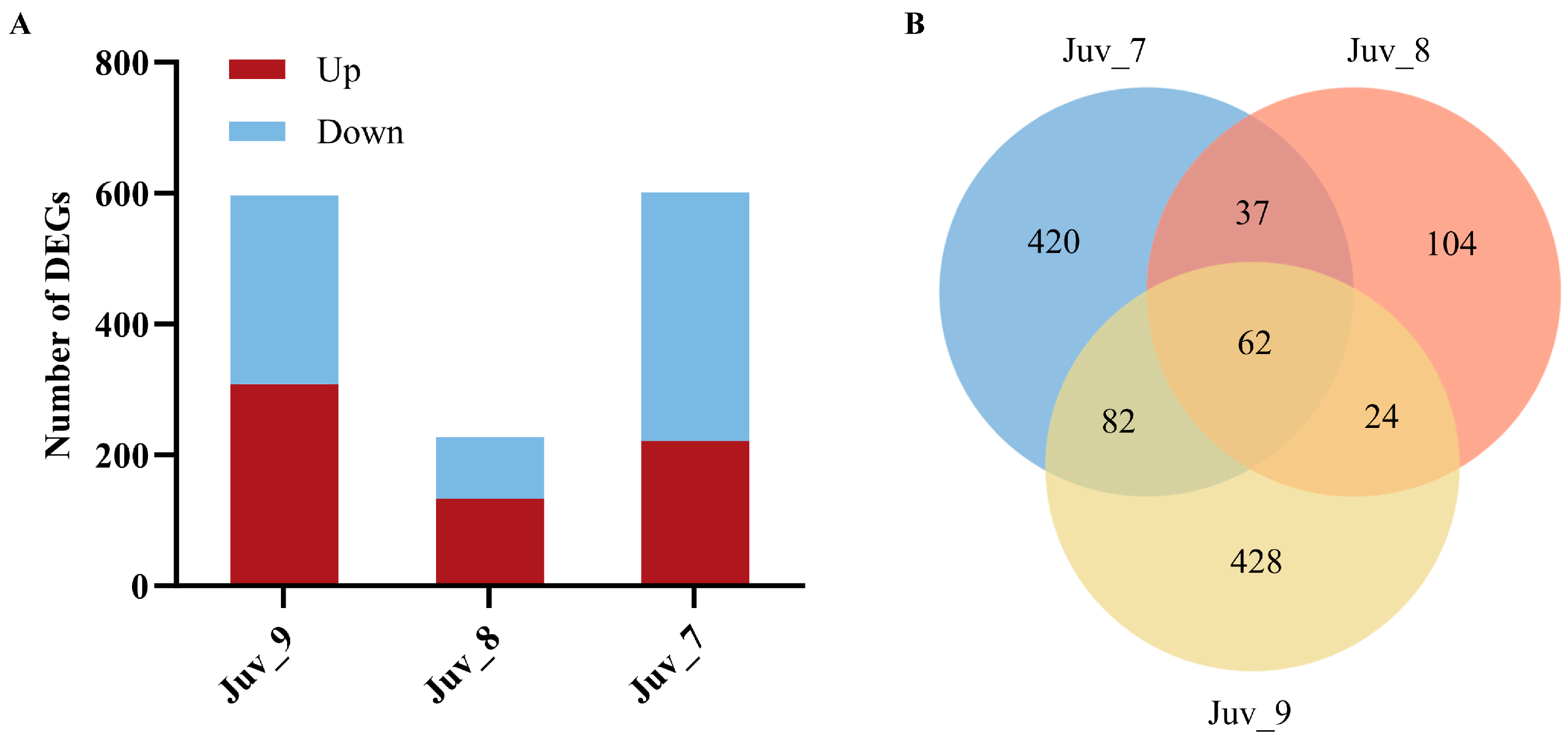 Antioxidants 14 00635 g002