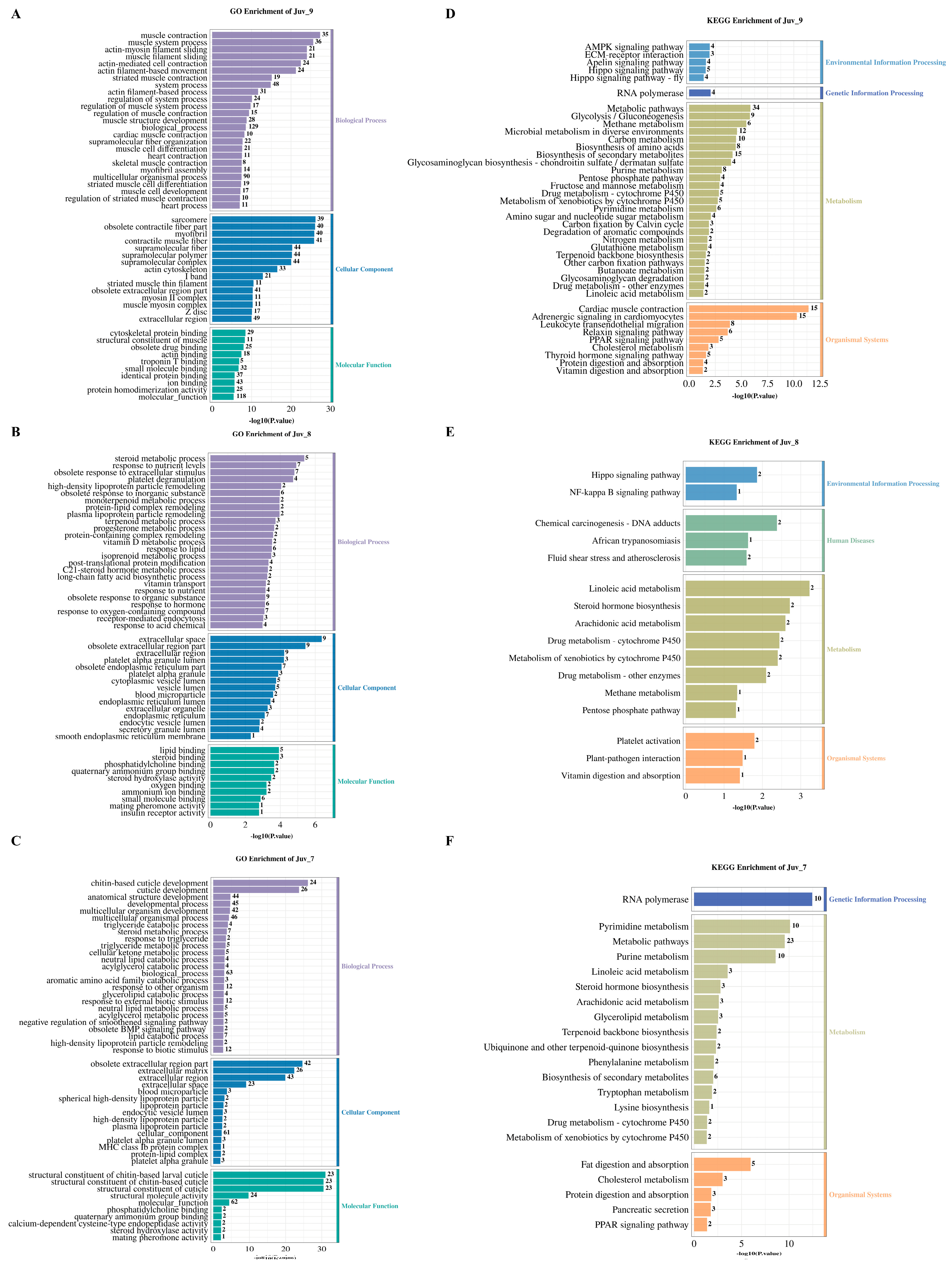 Antioxidants 14 00635 g003
