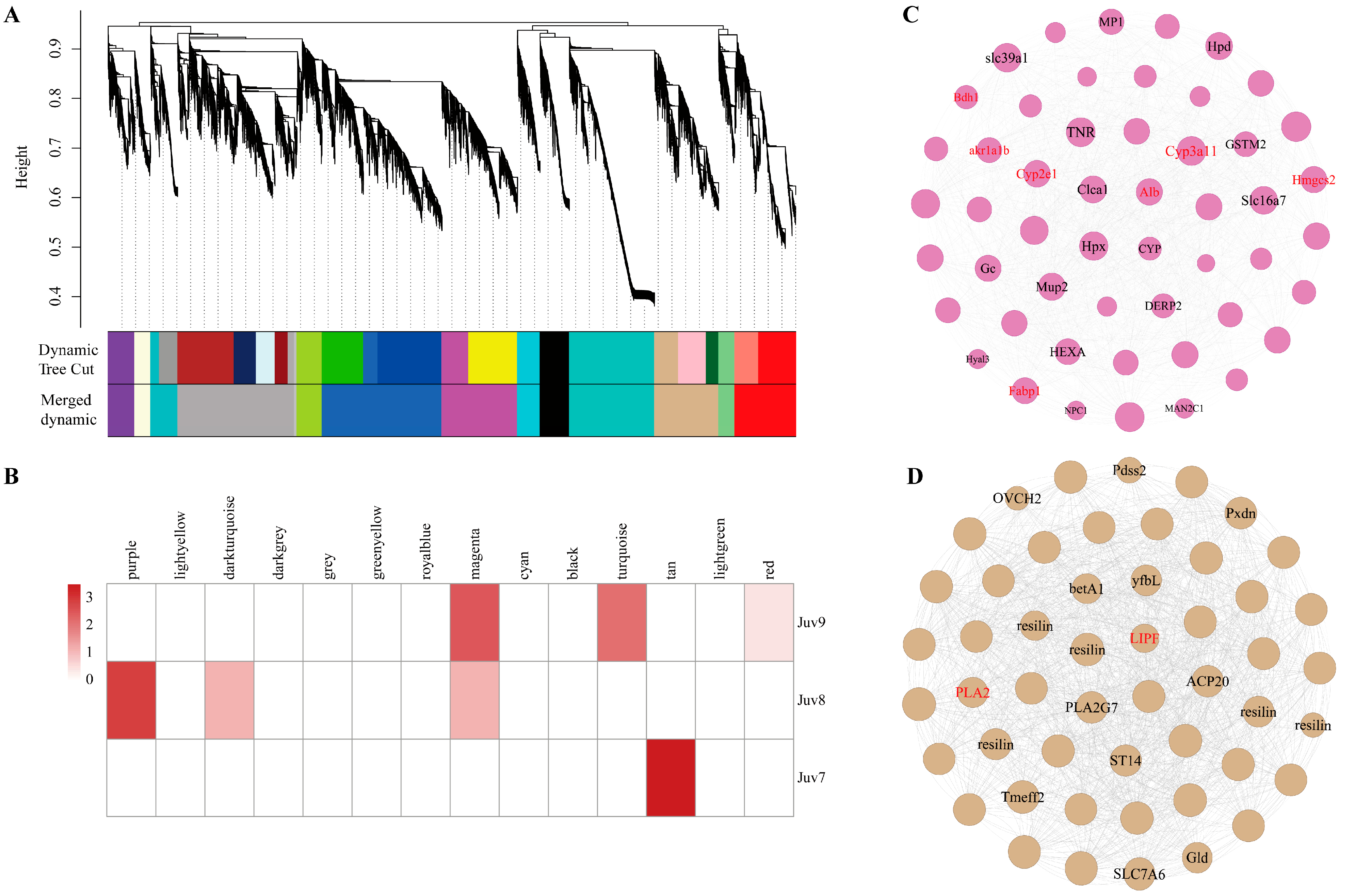 Antioxidants 14 00635 g005