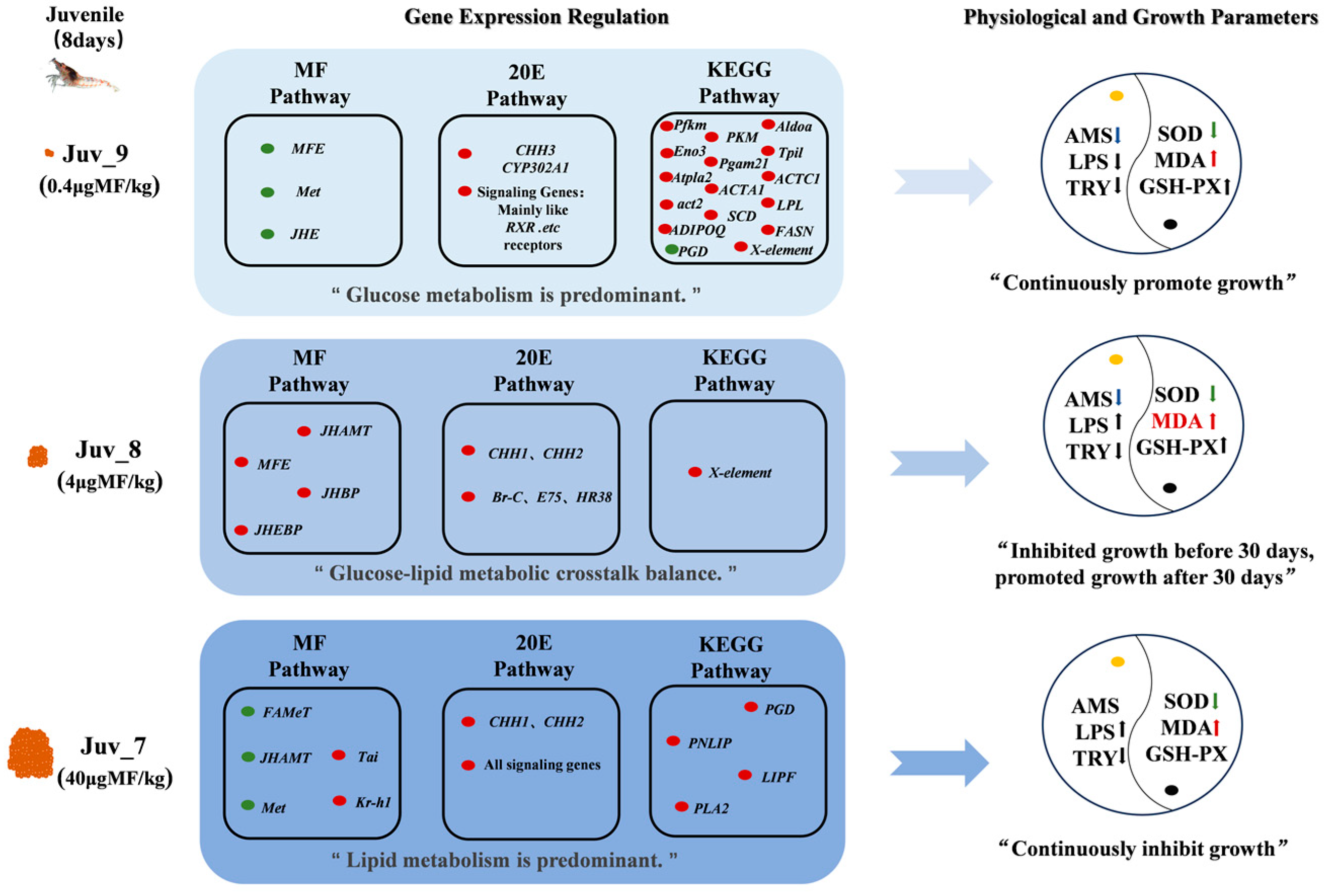 Antioxidants 14 00635 g007