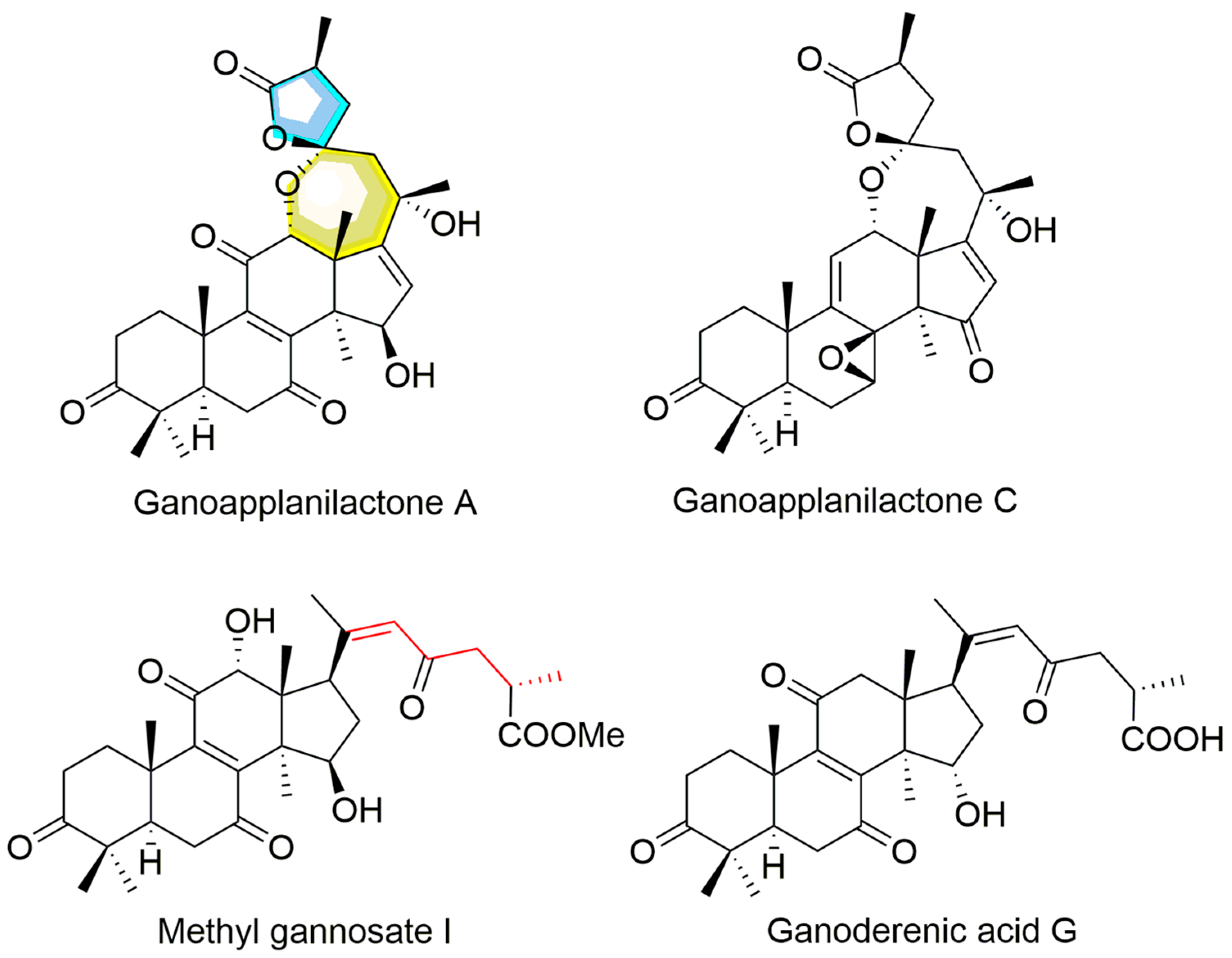 Antioxidants 14 00637 g001