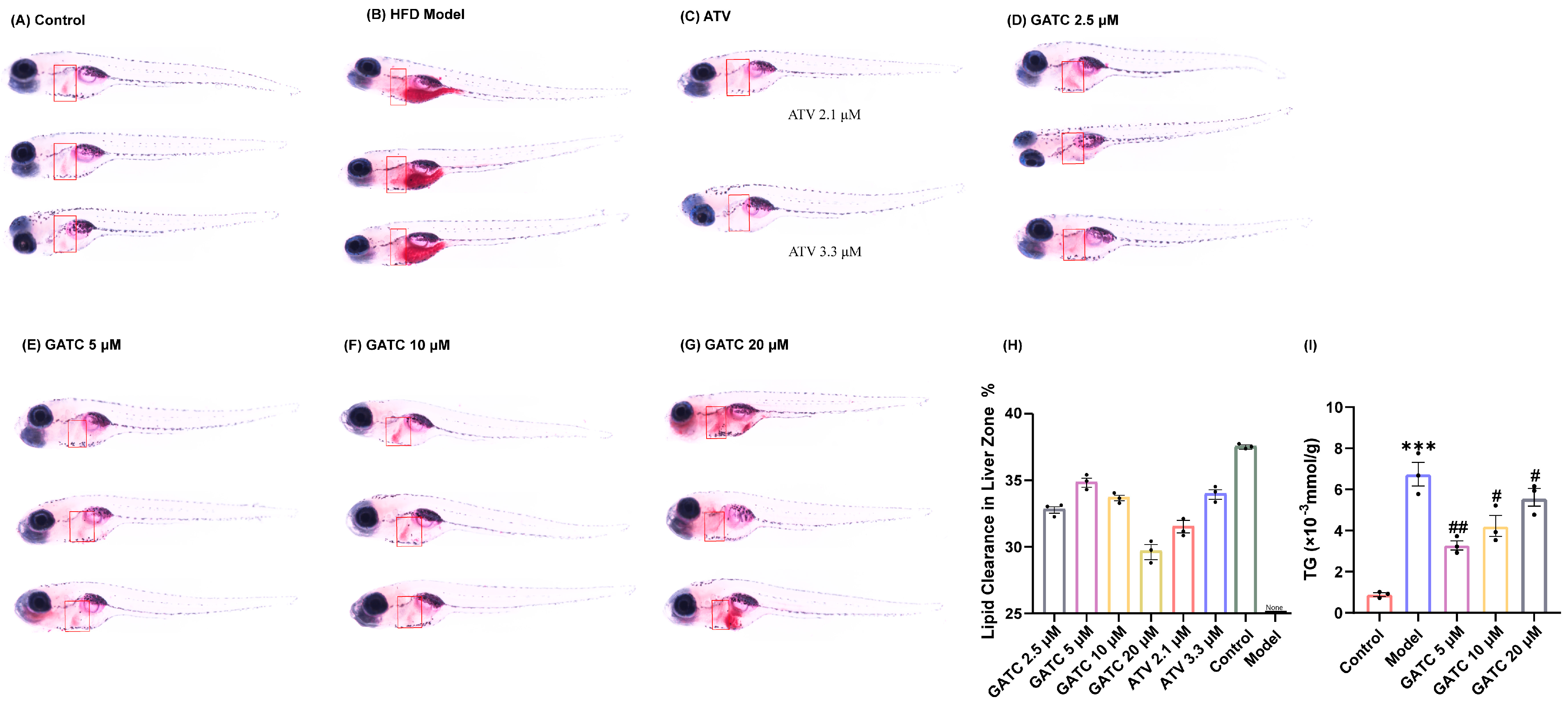Antioxidants 14 00637 g002