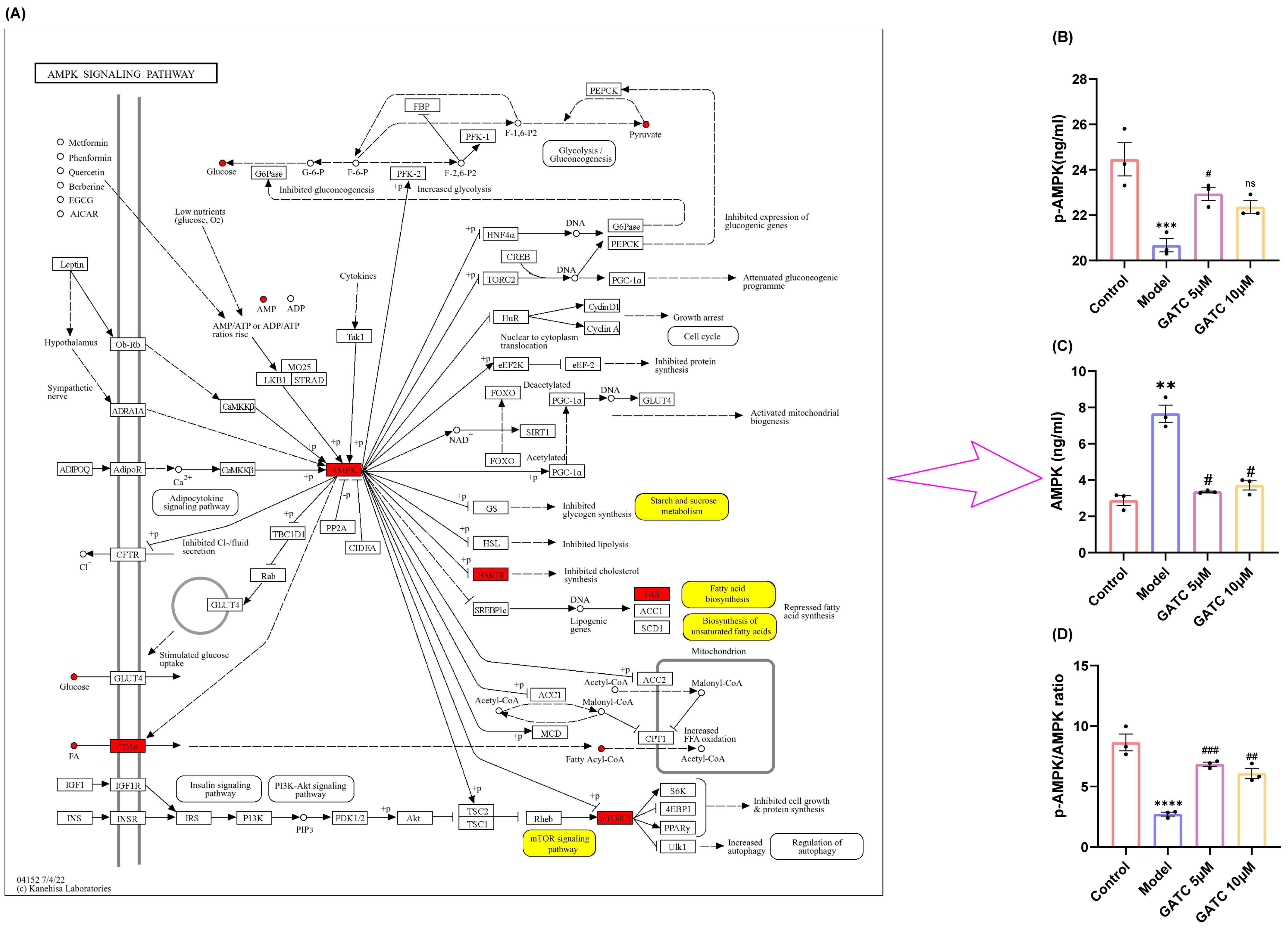 Antioxidants 14 00637 g008