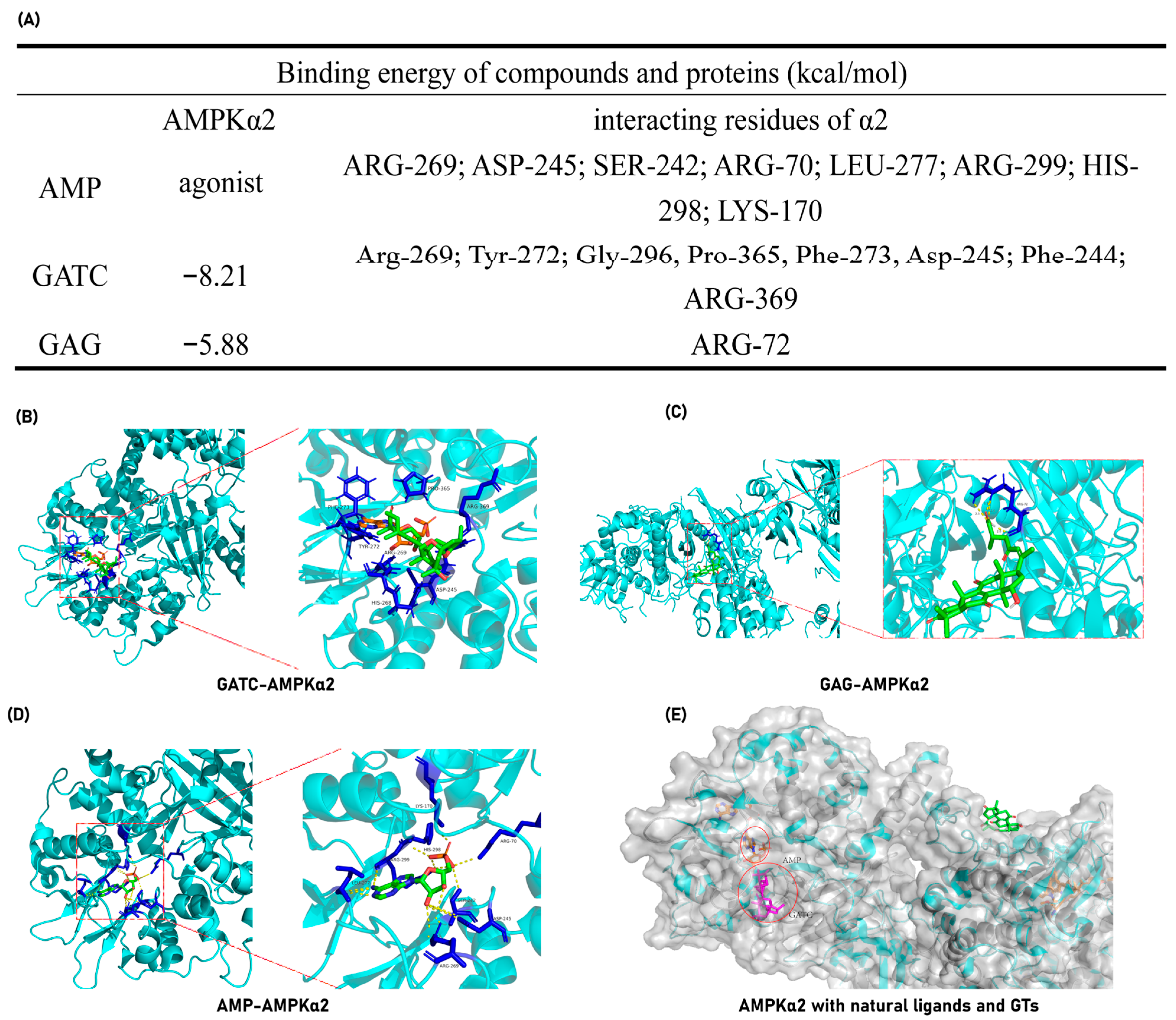 Antioxidants 14 00637 g009