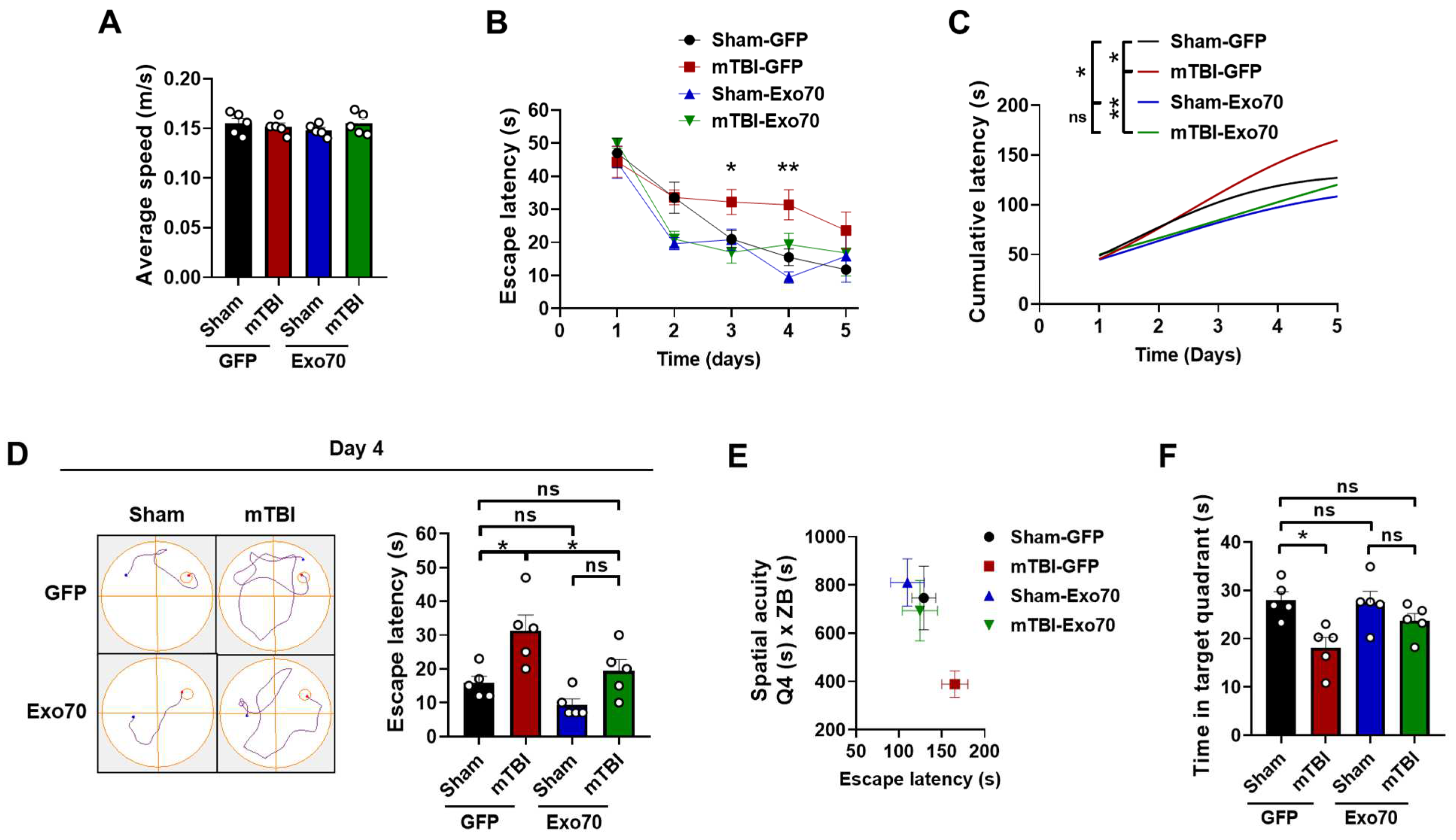 Antioxidants 14 00640 g001