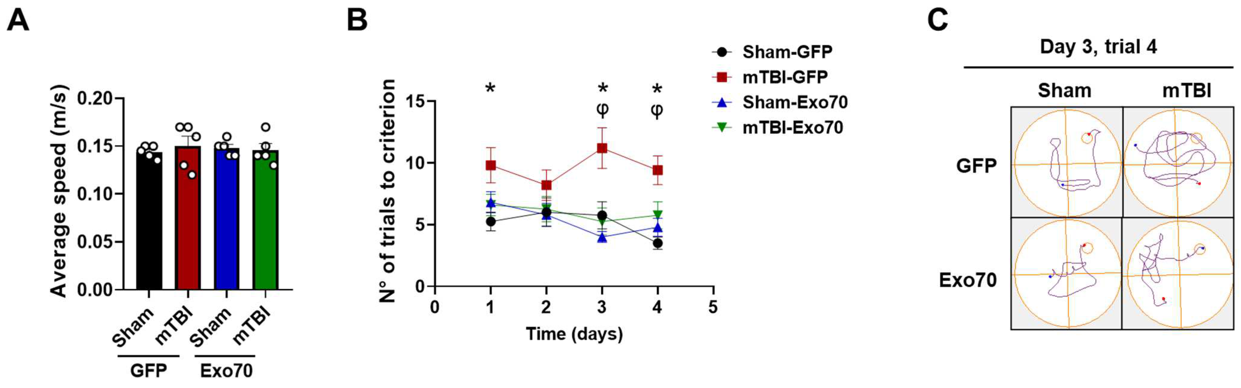 Antioxidants 14 00640 g002