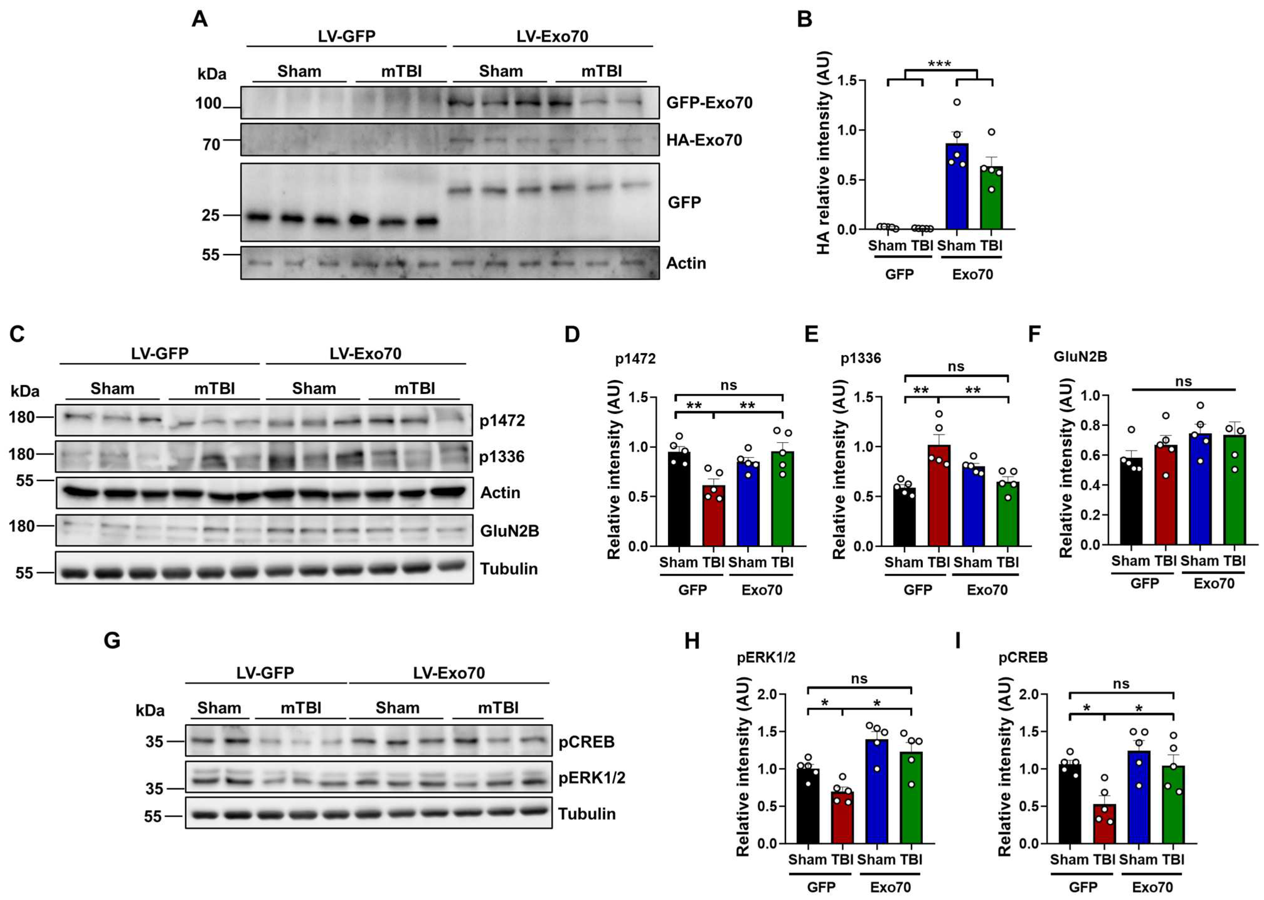 Antioxidants 14 00640 g004