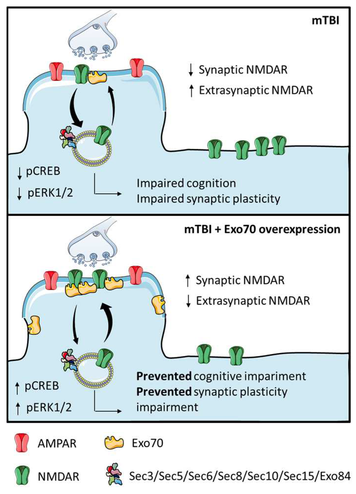 Antioxidants 14 00640 g005