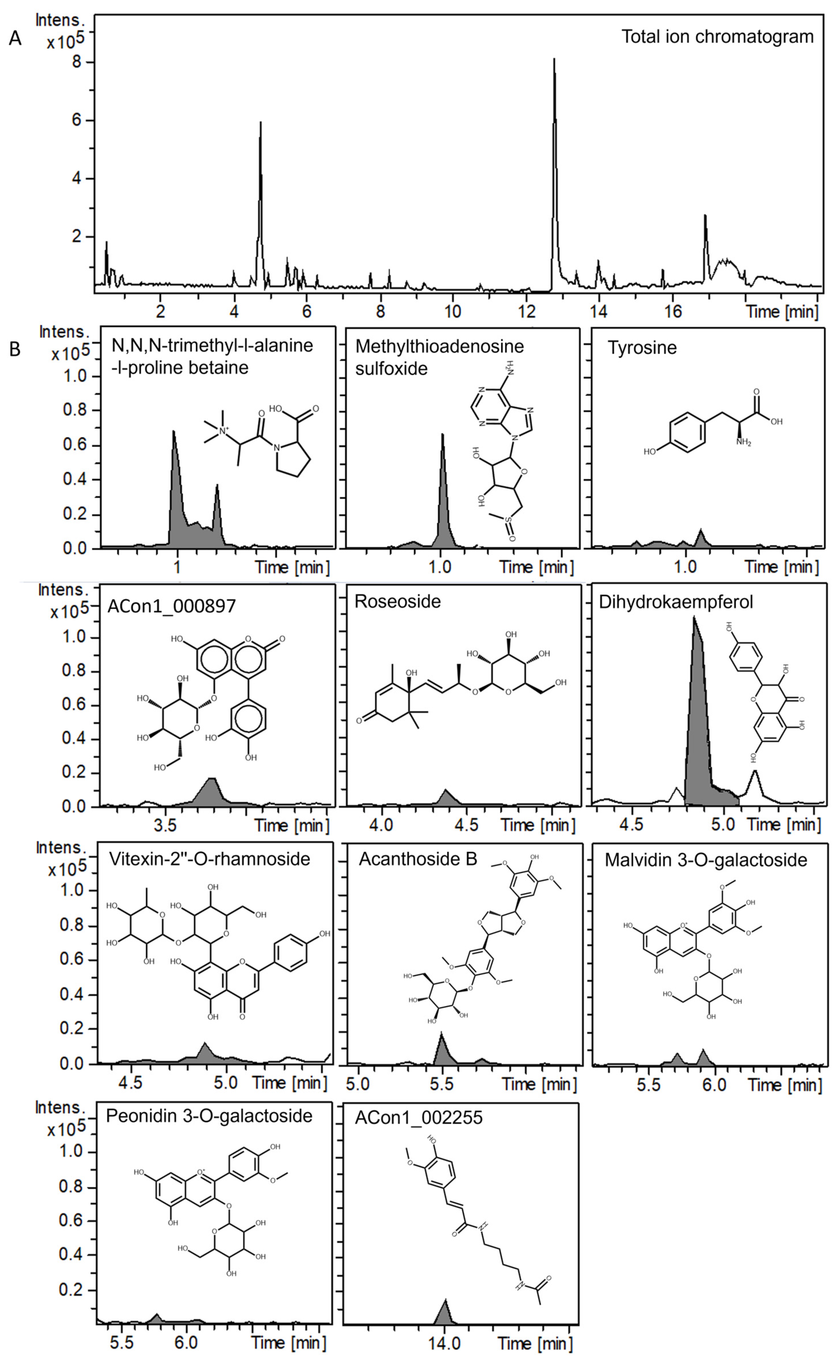 Antioxidants 14 00642 g001