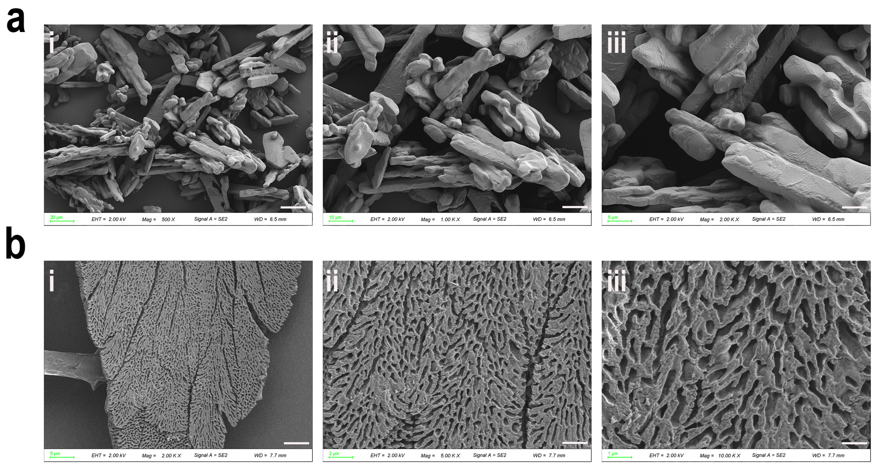 Antioxidants 14 00644 g005