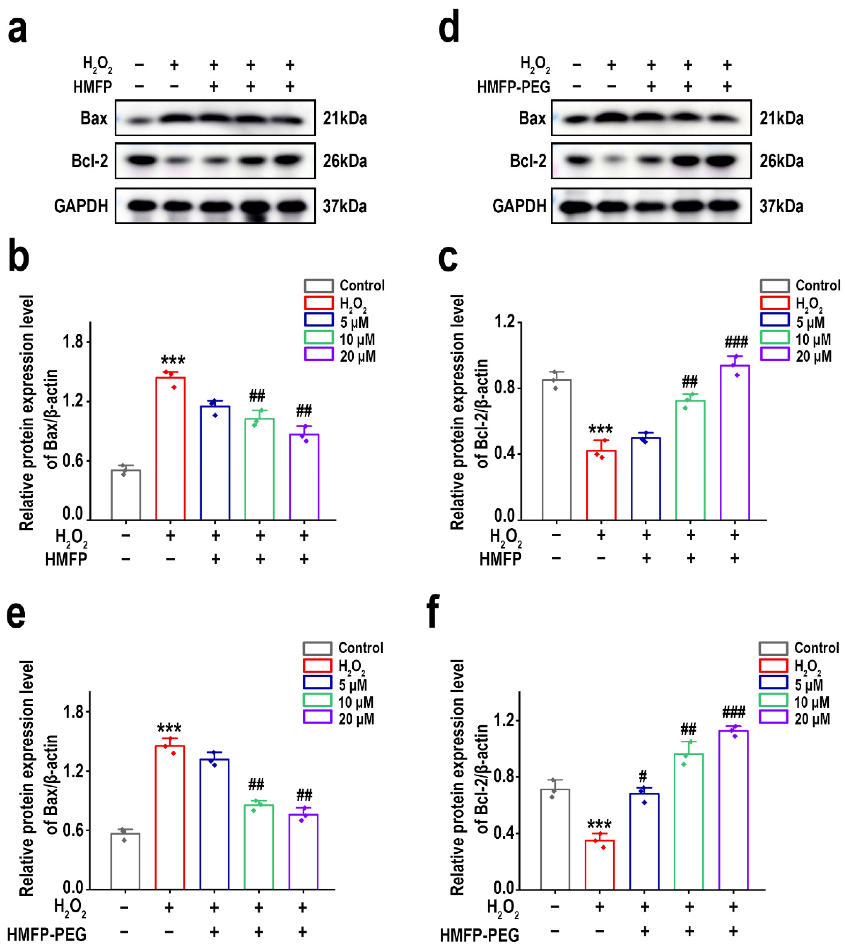 Antioxidants 14 00644 g009