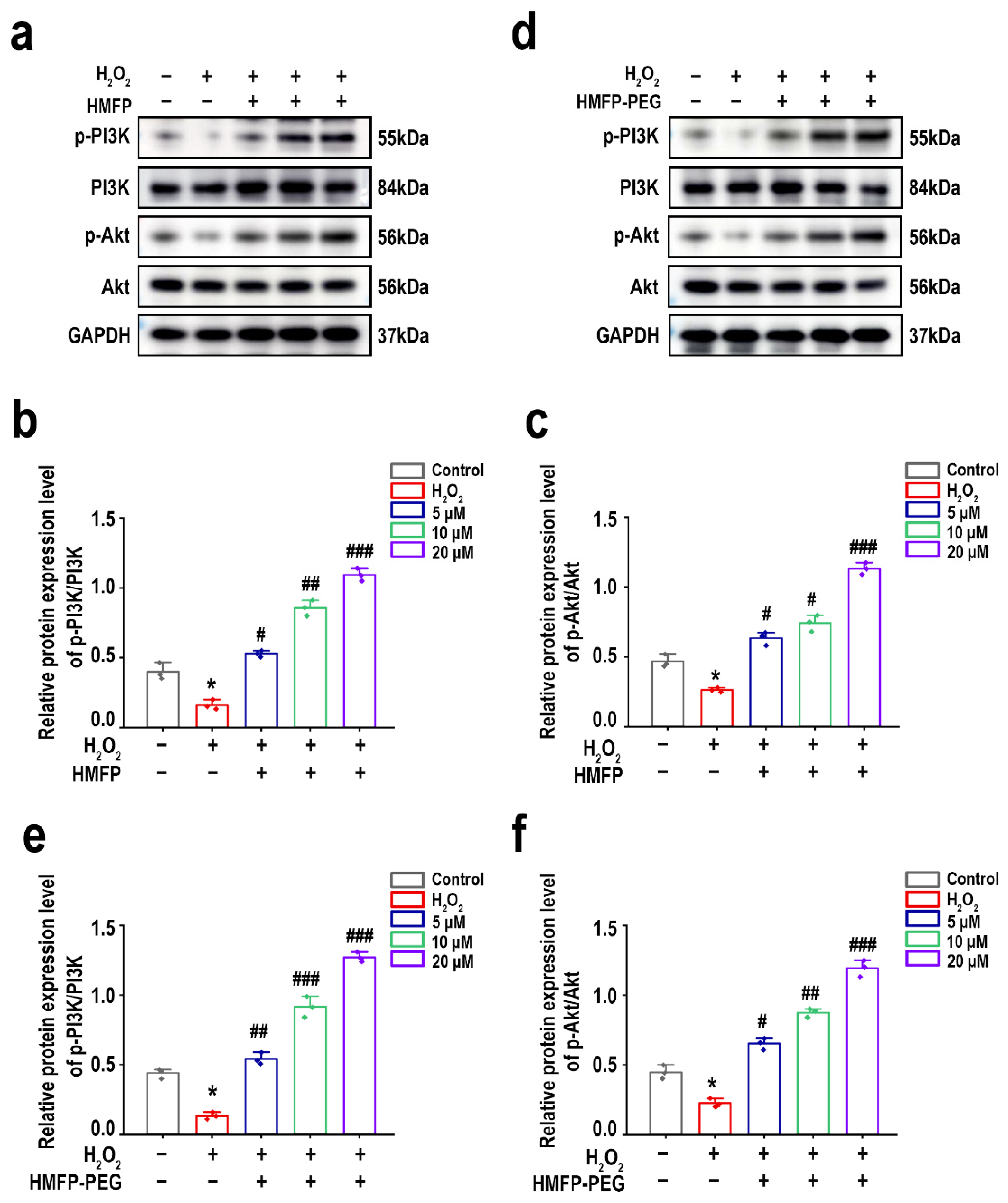 Antioxidants 14 00644 g010
