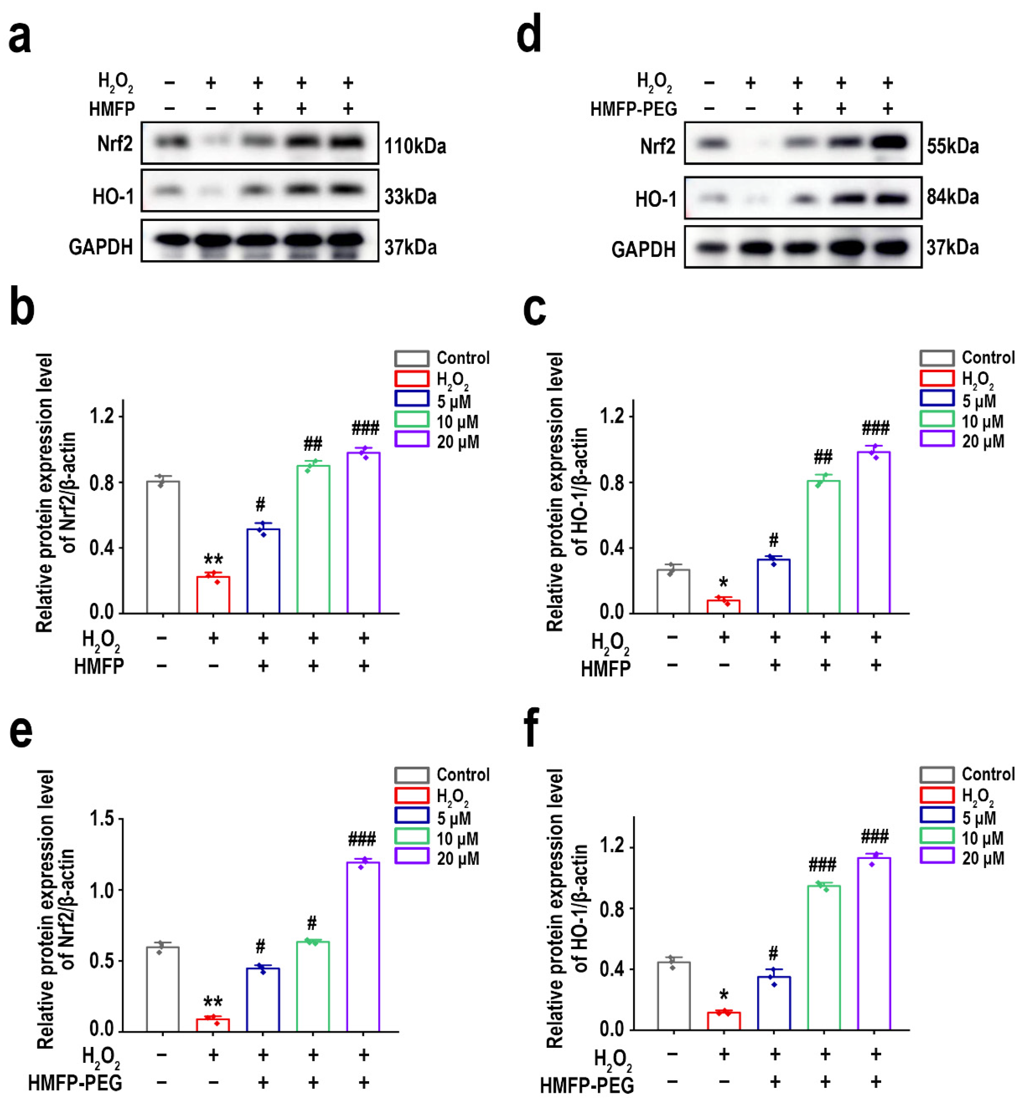 Antioxidants 14 00644 g011