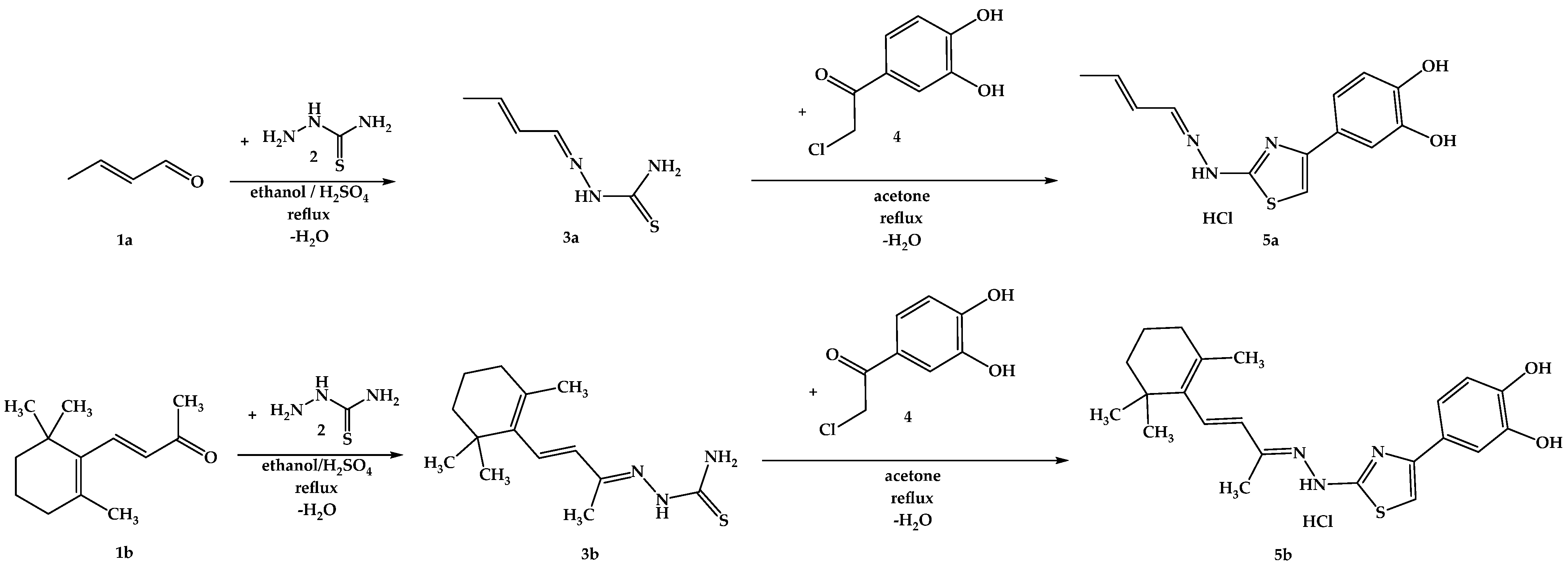 Antioxidants 14 00646 g008