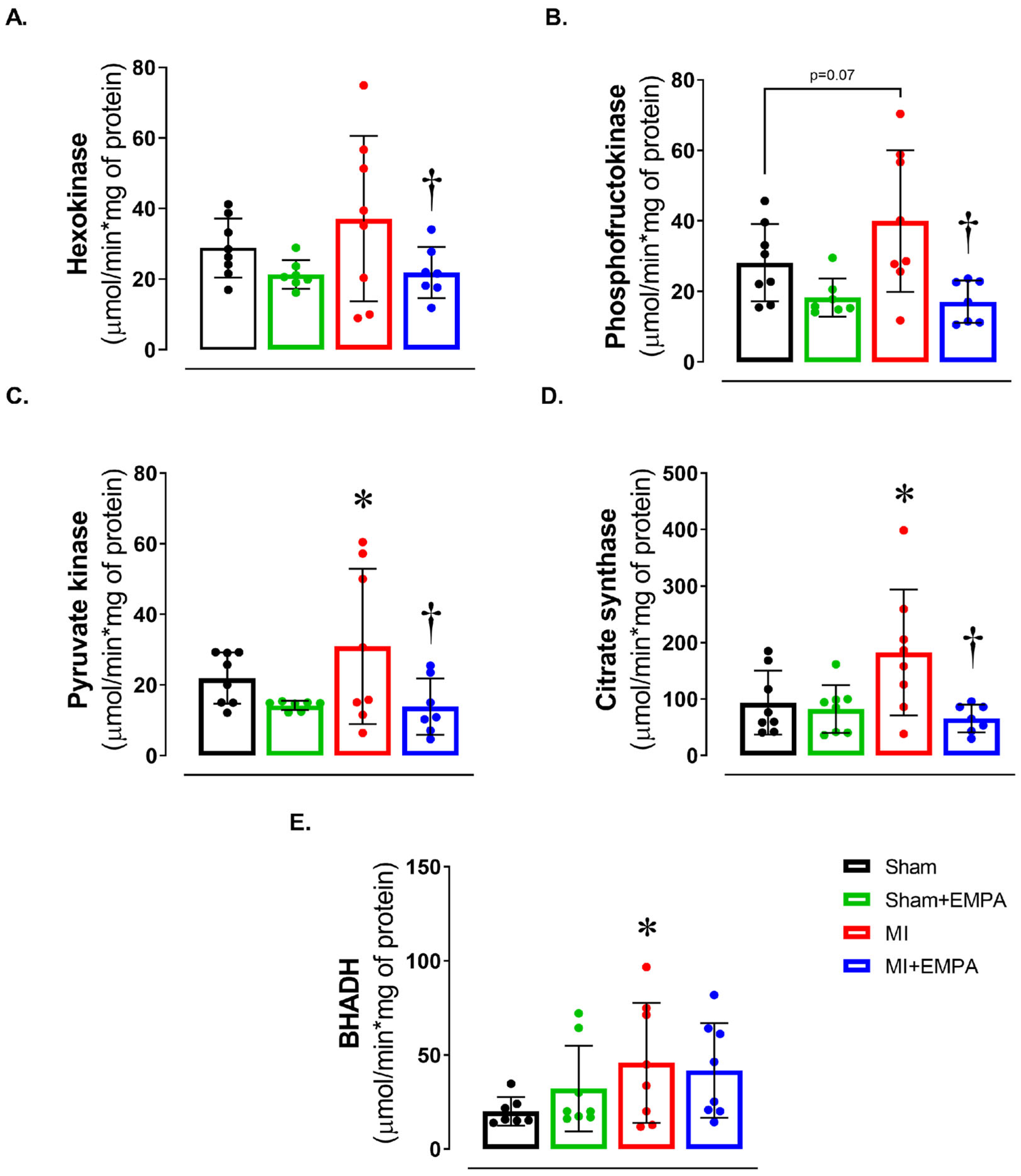 Antioxidants 14 00647 g003