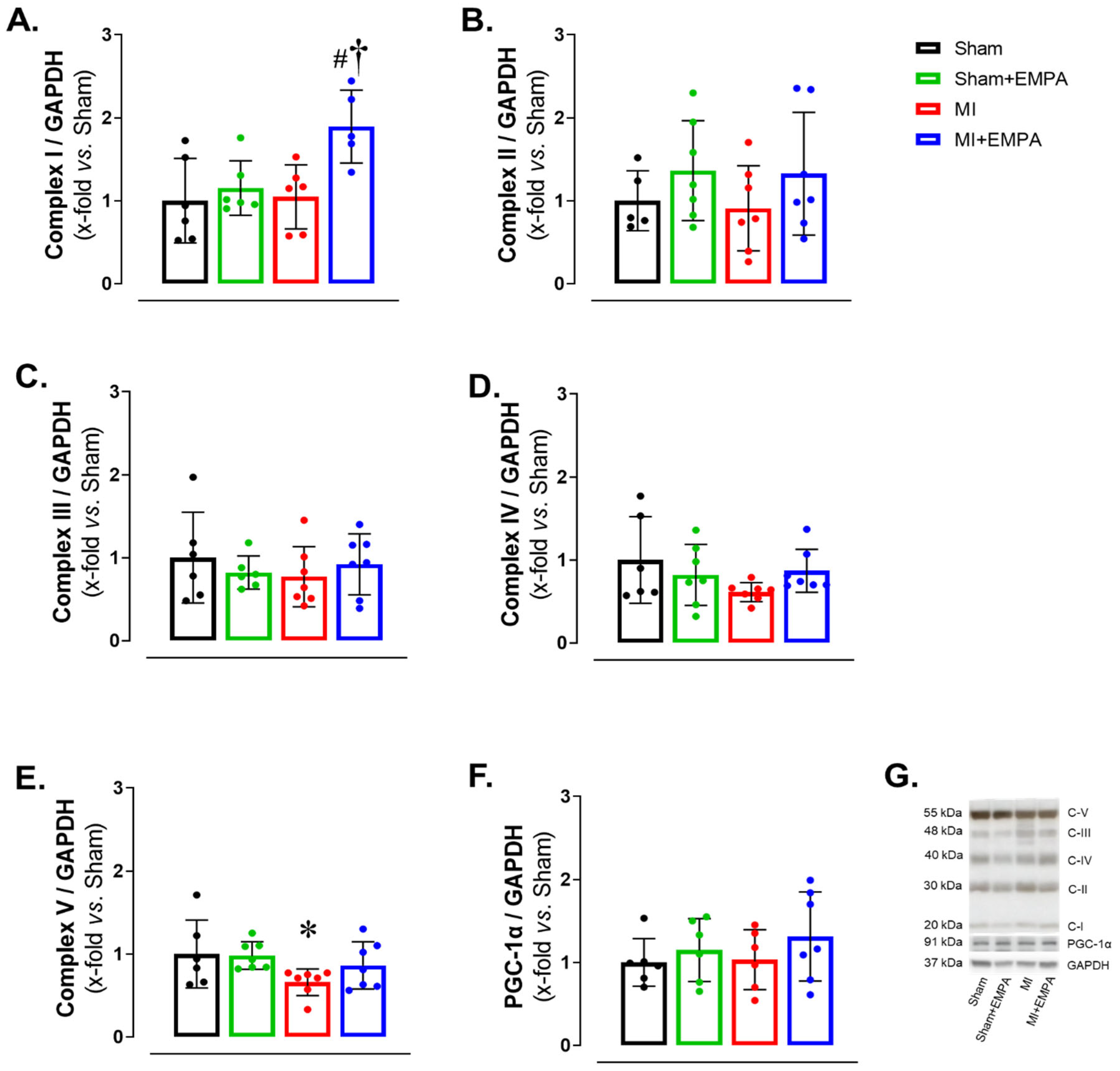 Antioxidants 14 00647 g004