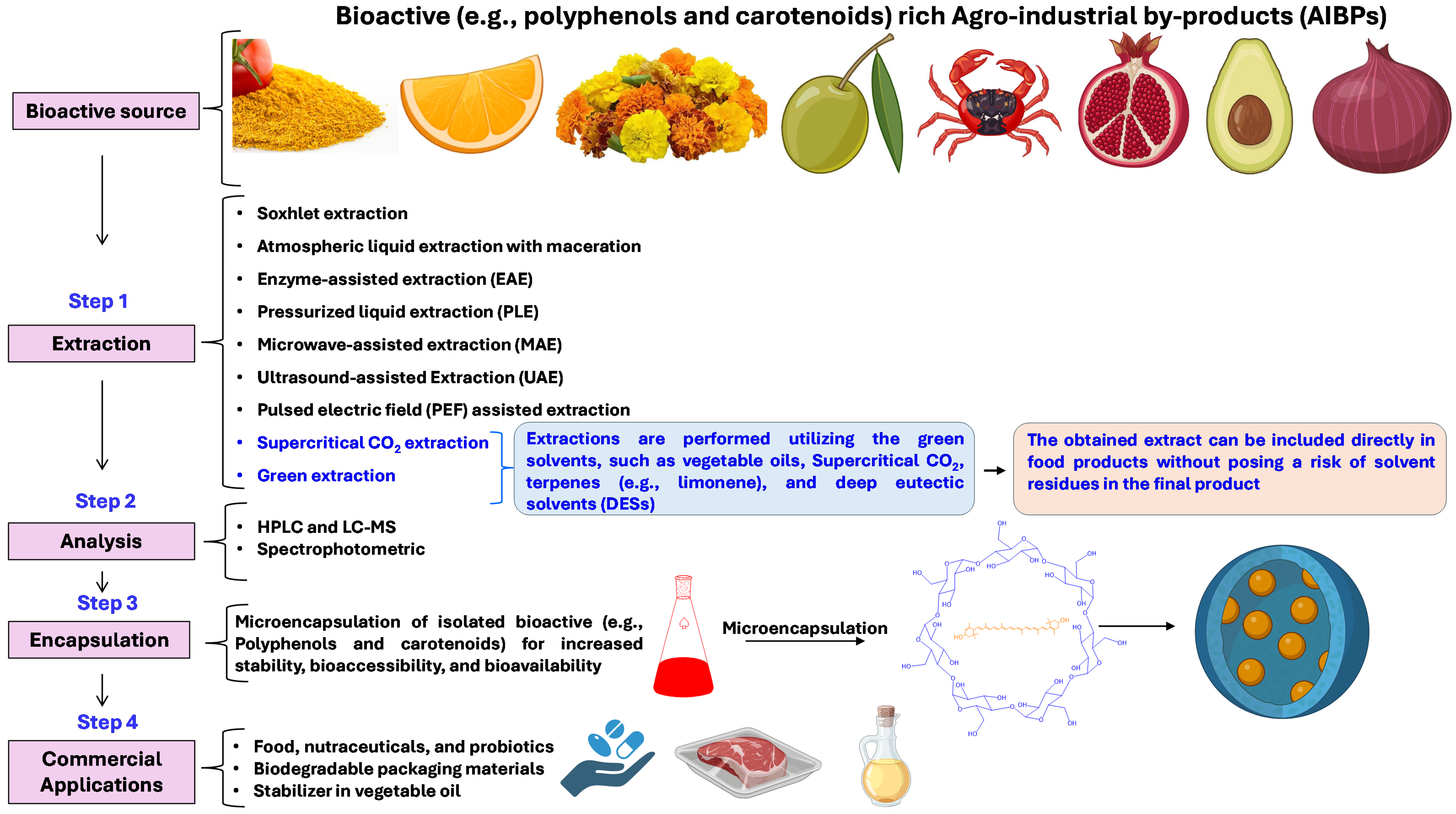 Antioxidants 14 00650 g003