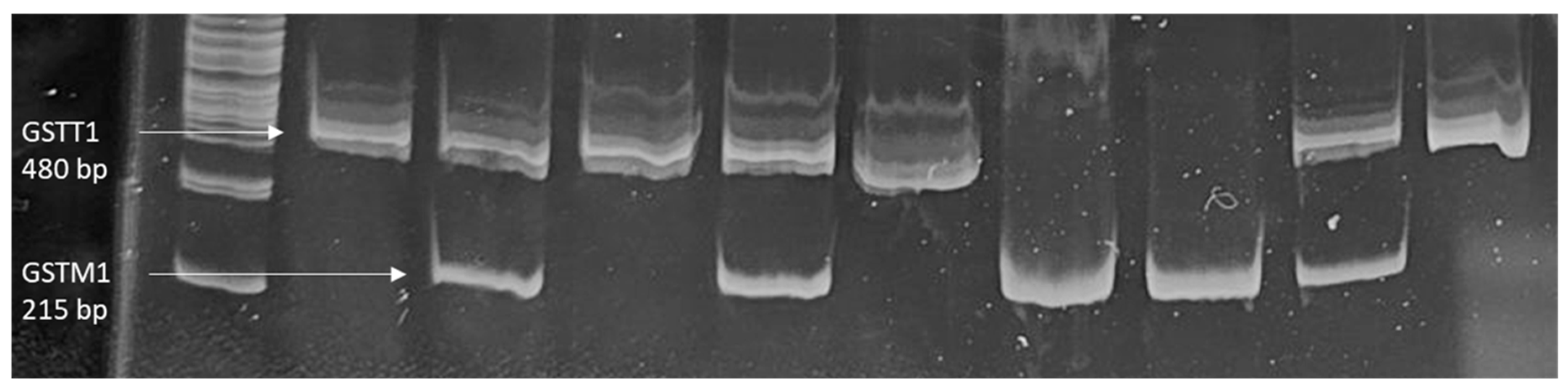 Antioxidants 14 00652 g003