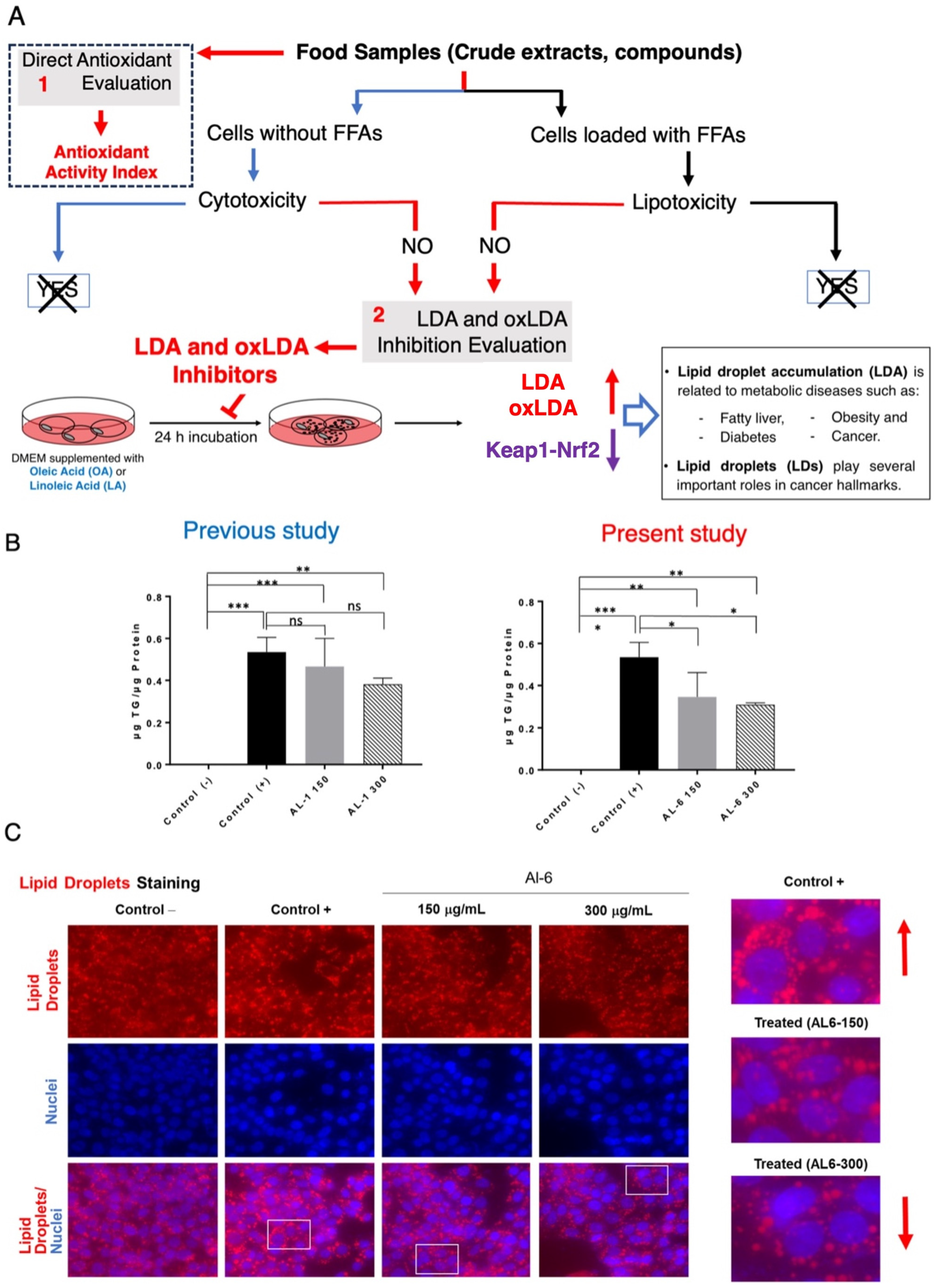 Antioxidants 14 00653 g002