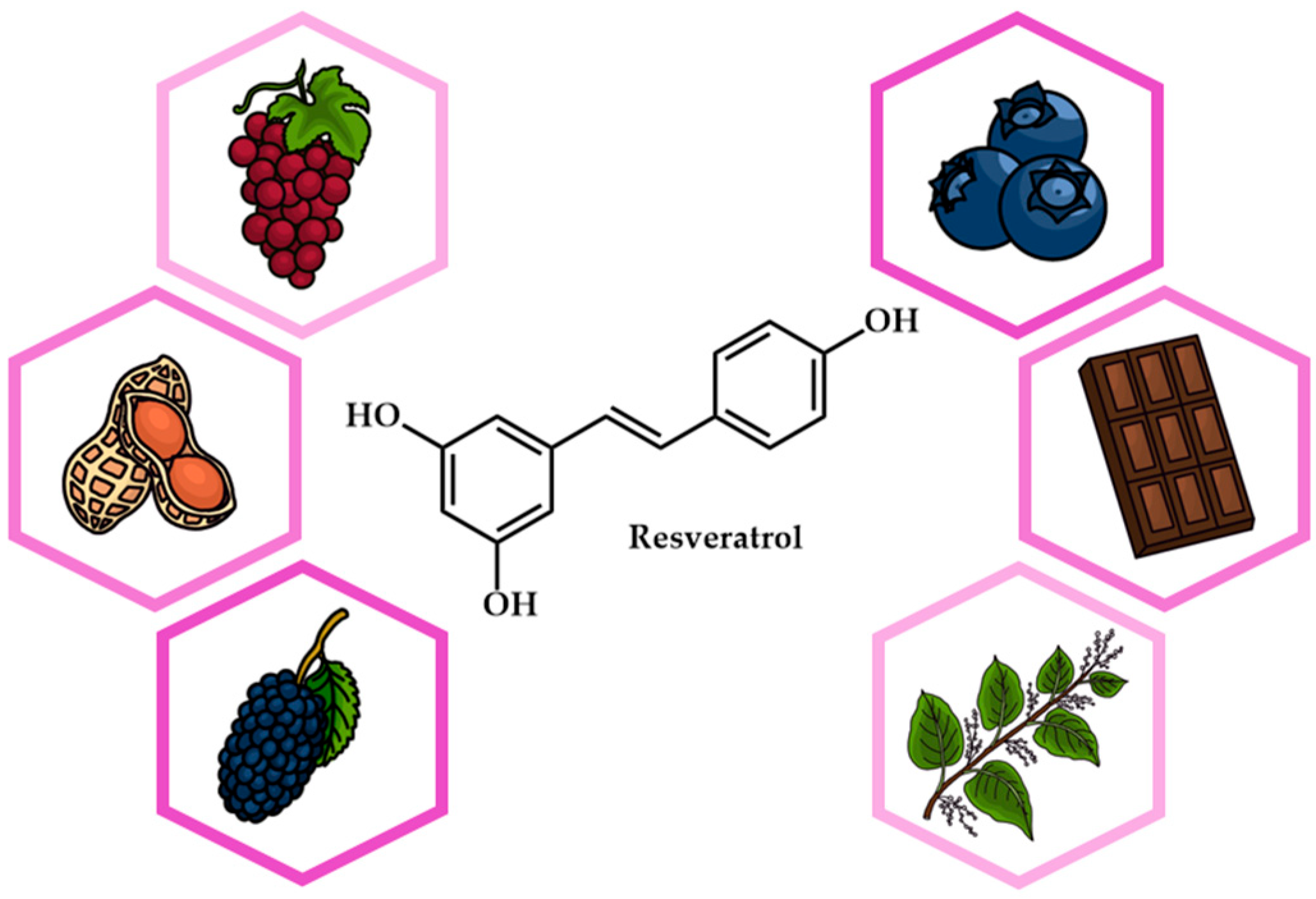 Antioxidants 14 00654 g001