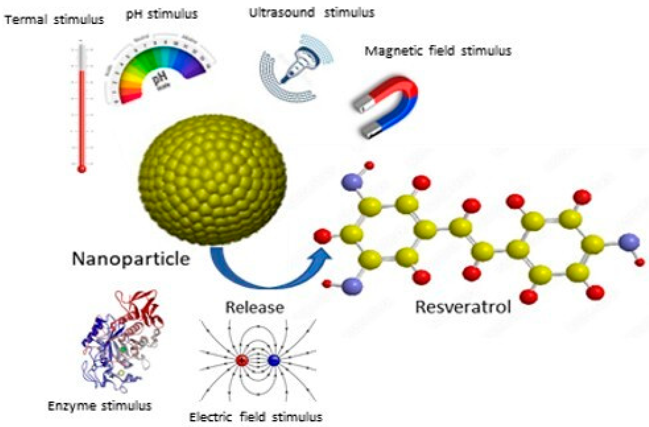 Antioxidants 14 00654 g017