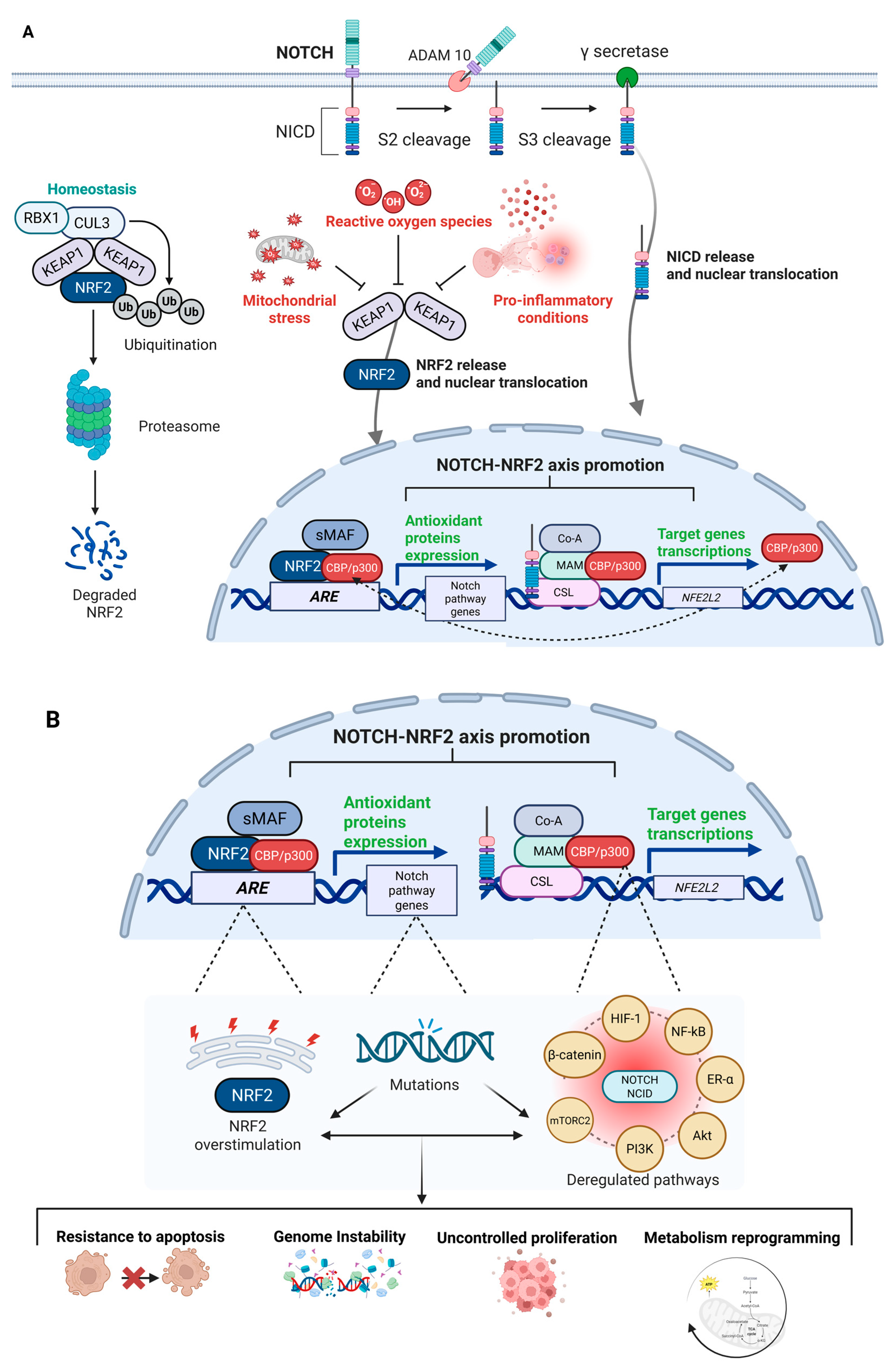 Antioxidants 14 00657 g003