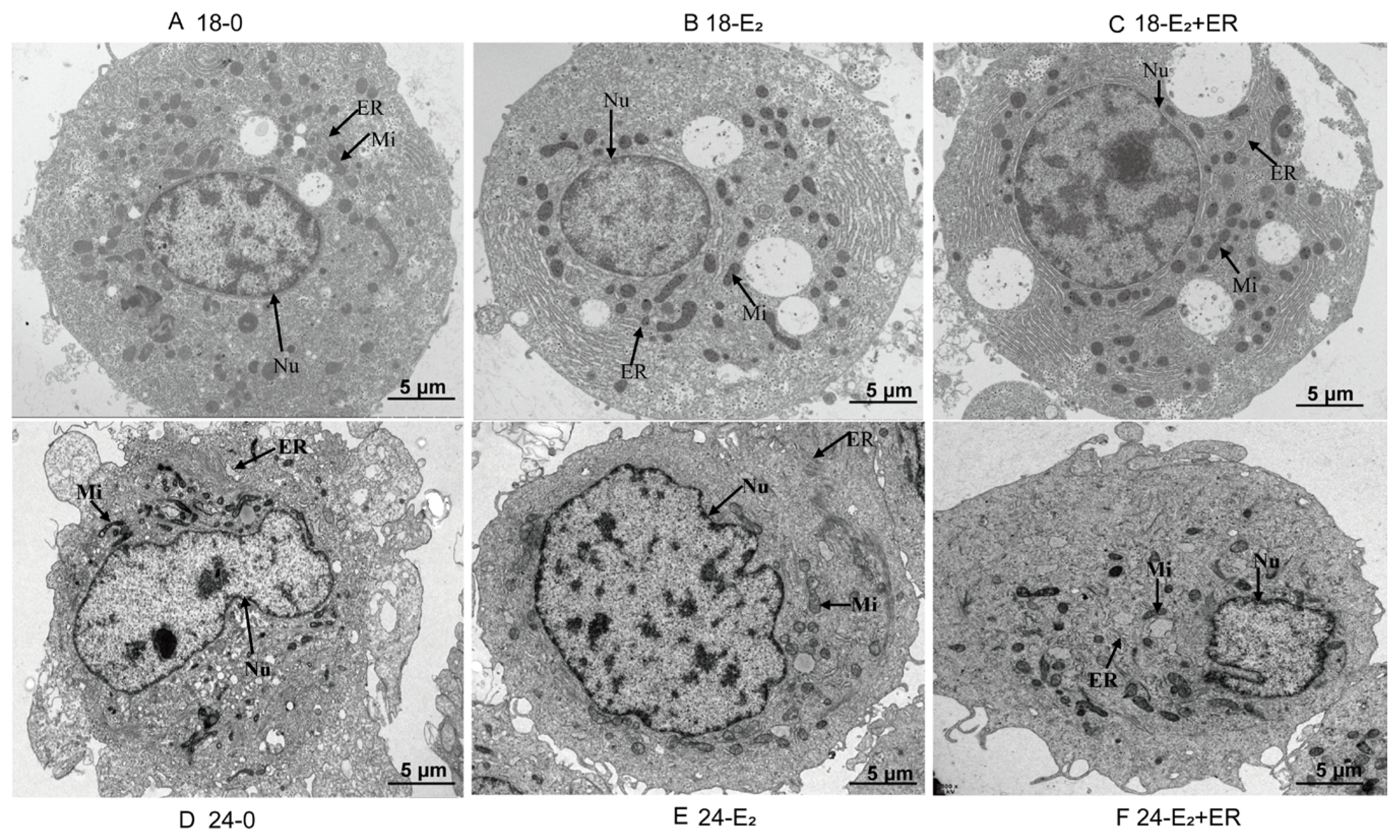 Antioxidants 14 00659 g008