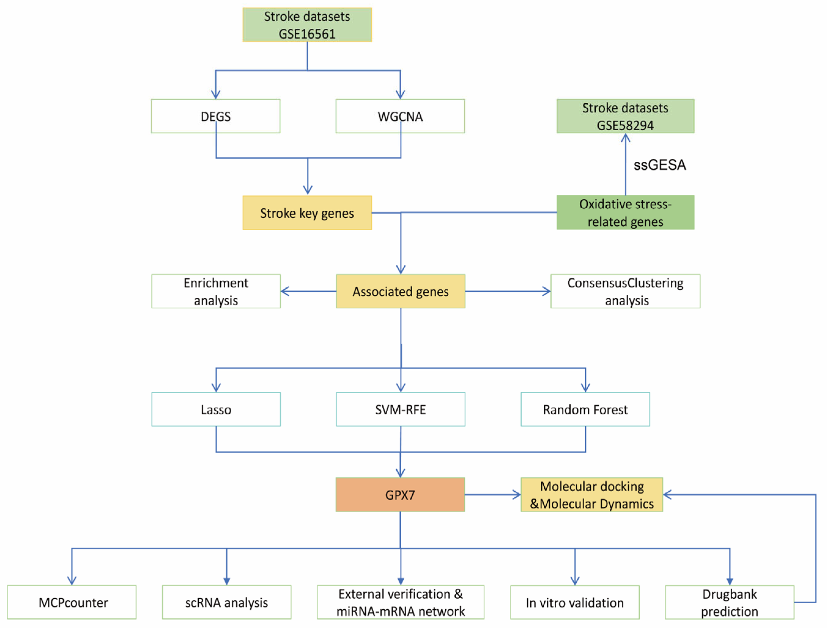 Antioxidants 14 00665 g001