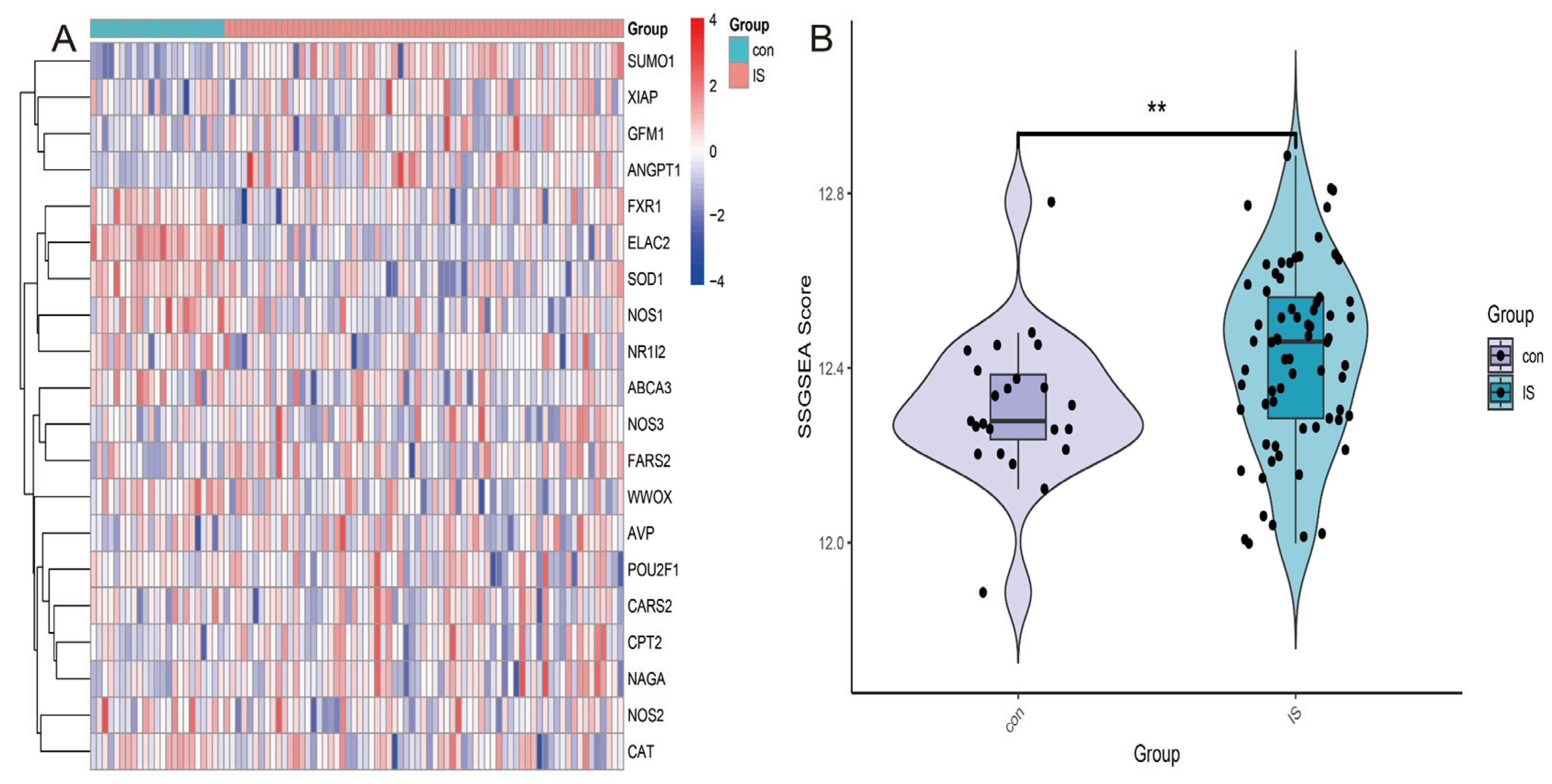 Antioxidants 14 00665 g002