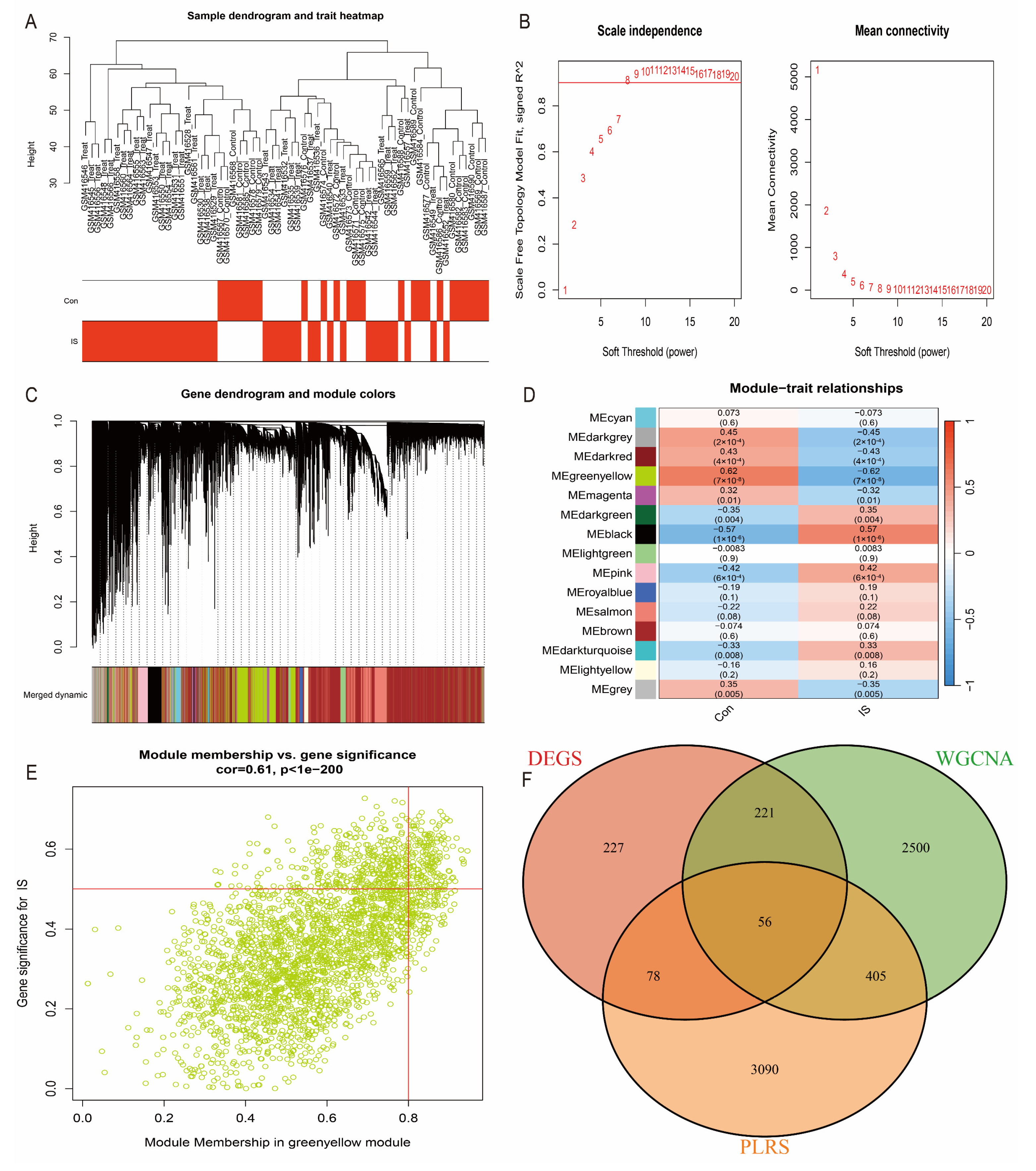 Antioxidants 14 00665 g004