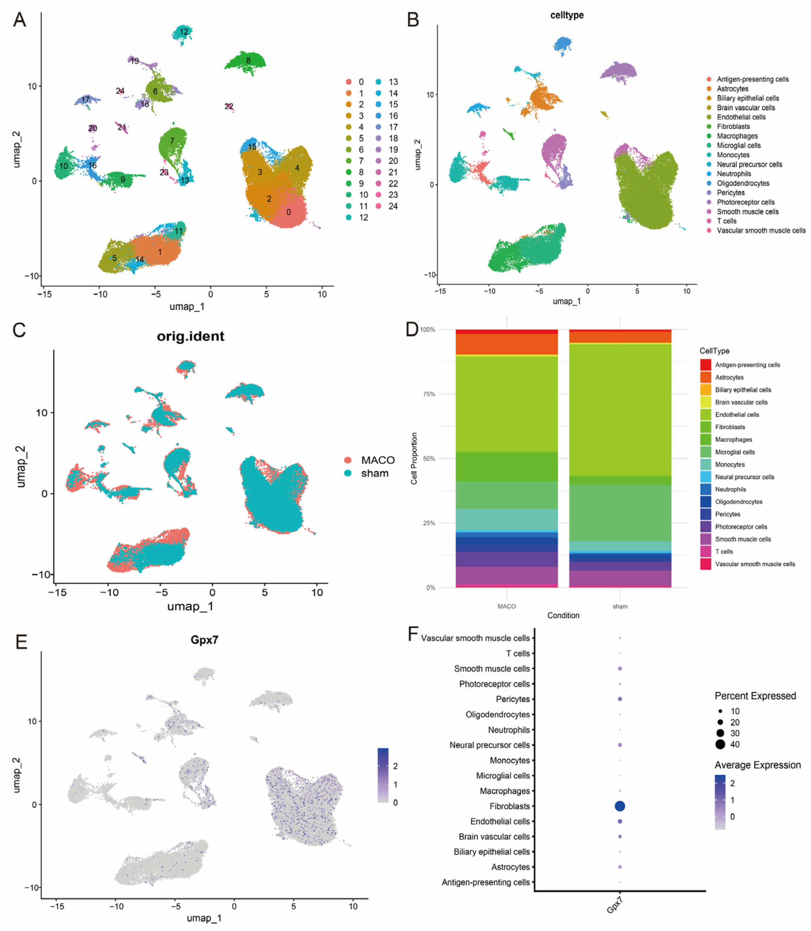 Antioxidants 14 00665 g010