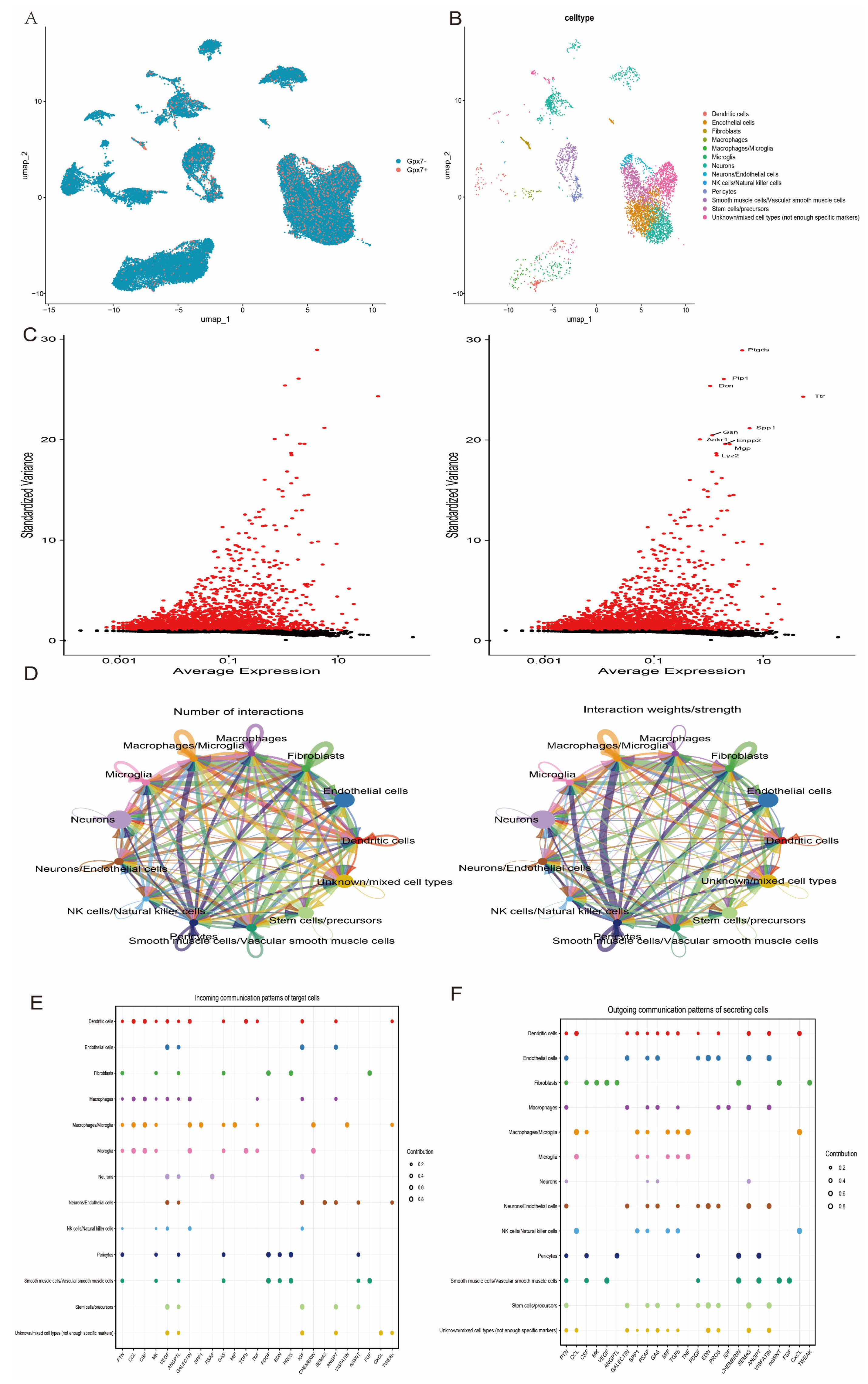 Antioxidants 14 00665 g011