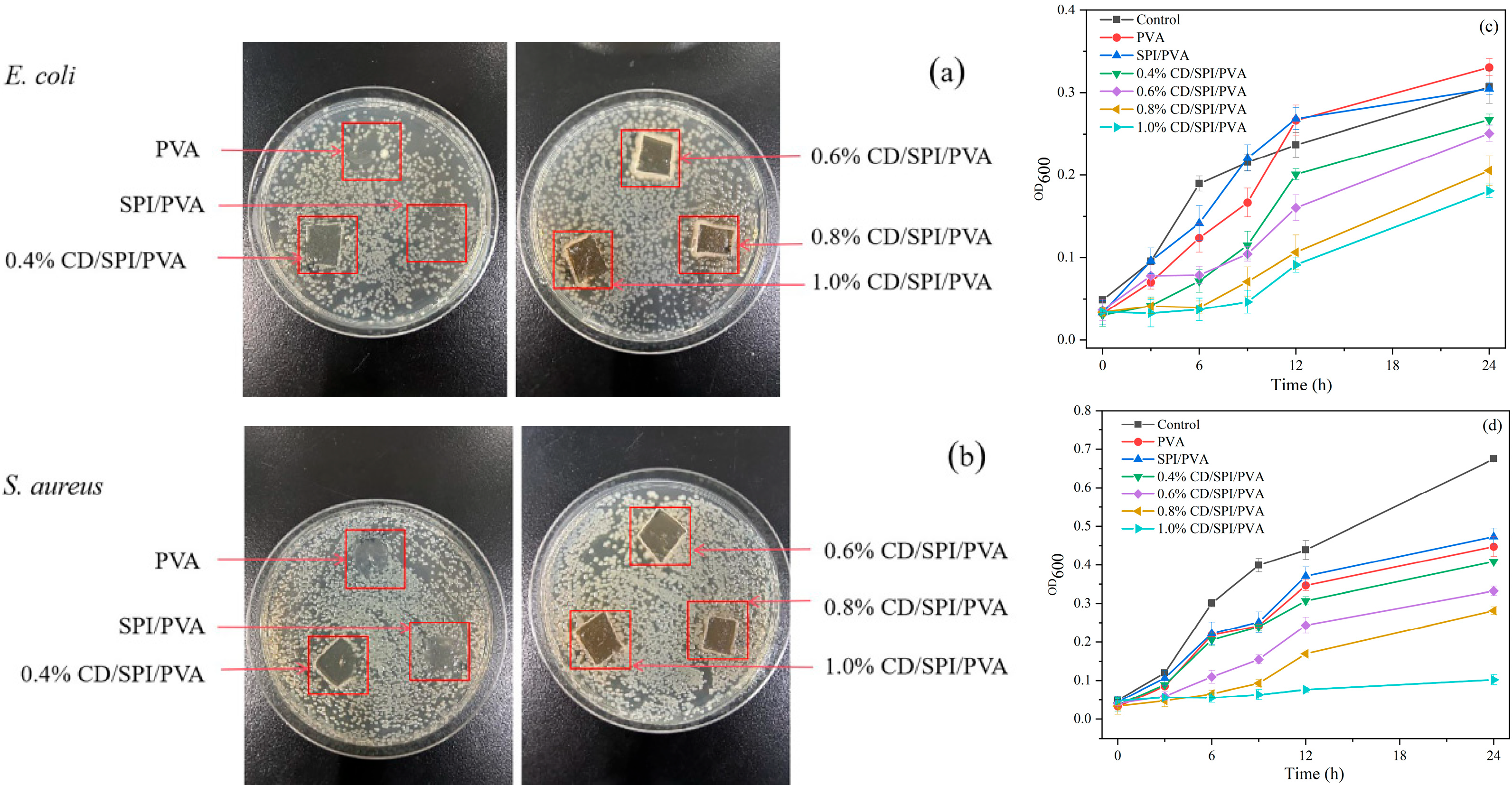 Antioxidants 14 00669 g006