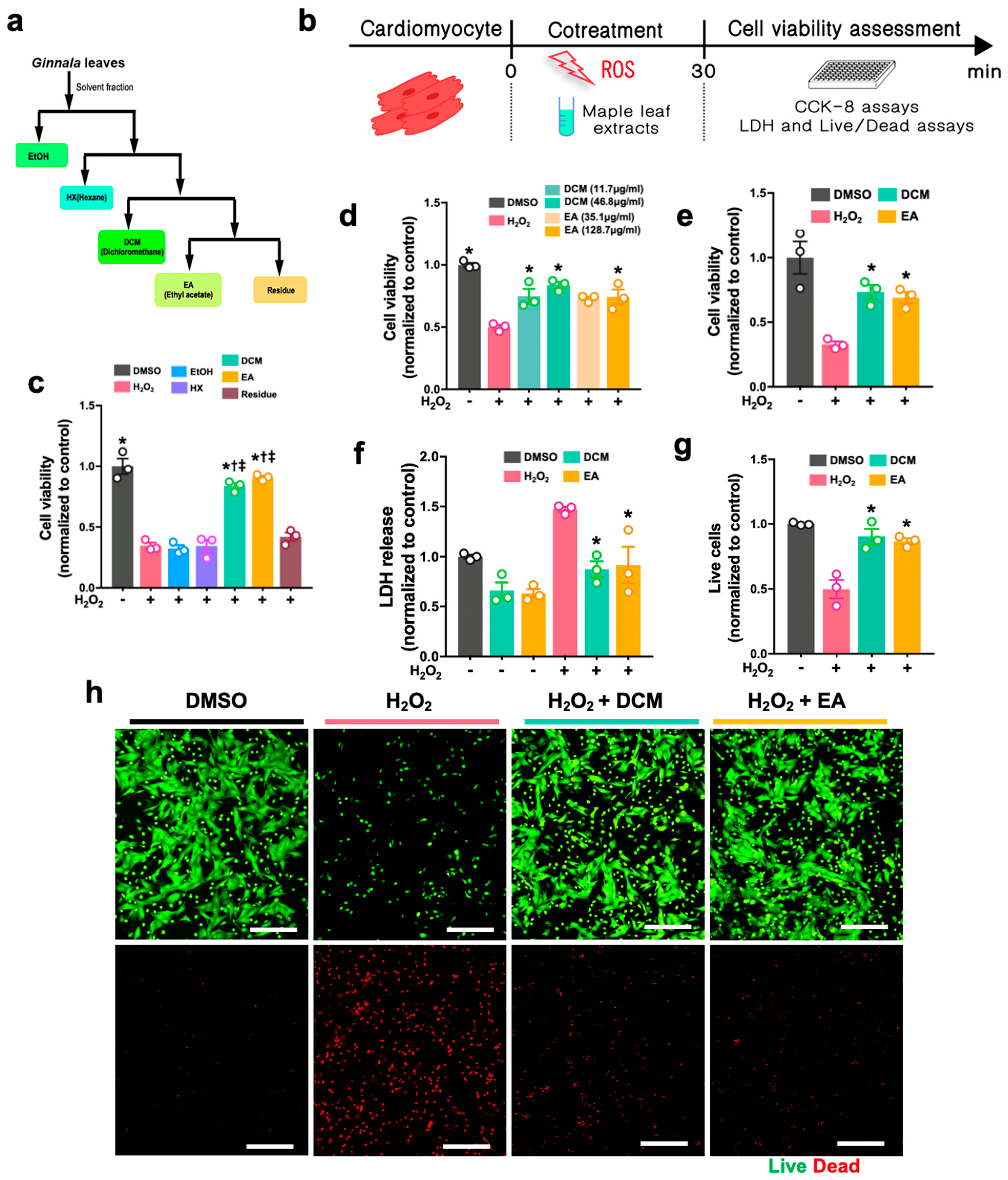 Antioxidants 14 00671 g001