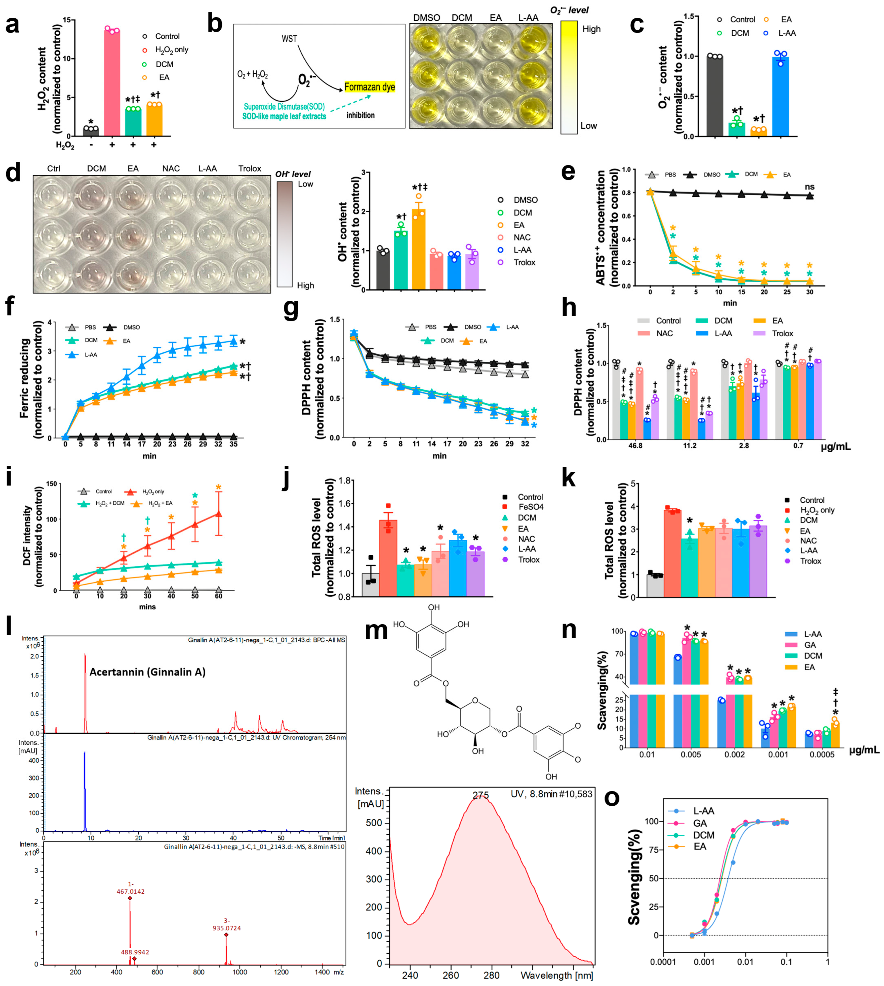 Antioxidants 14 00671 g003