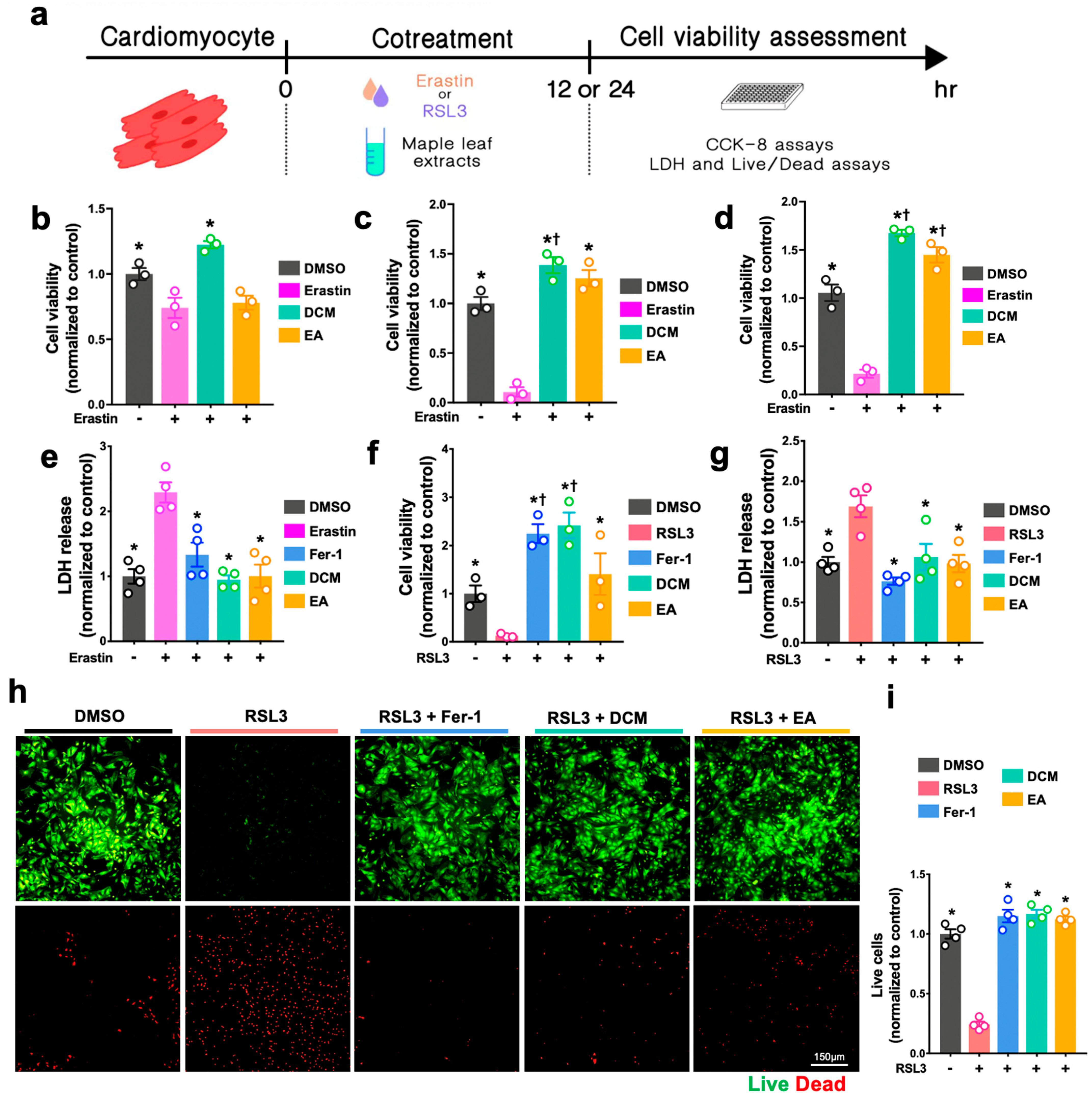 Antioxidants 14 00671 g004