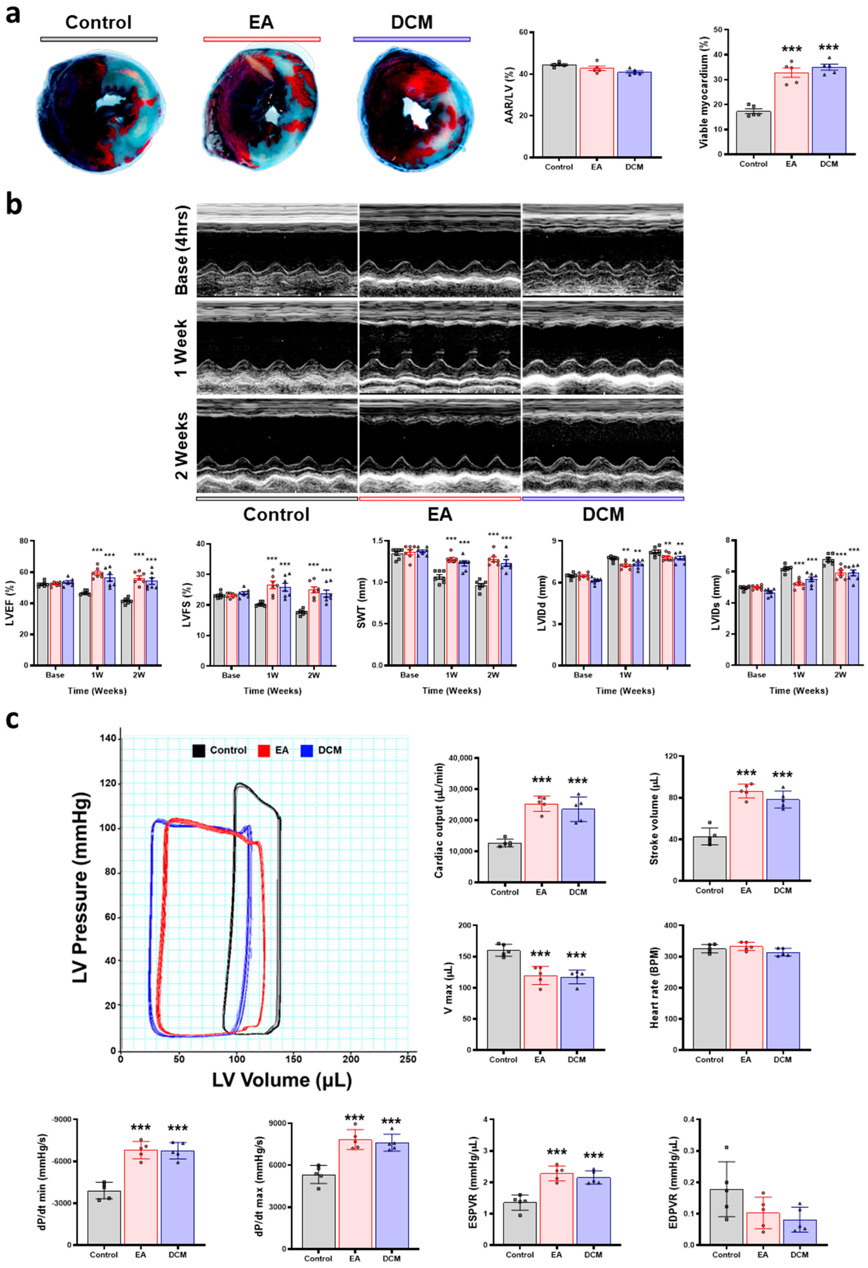 Antioxidants 14 00671 g006
