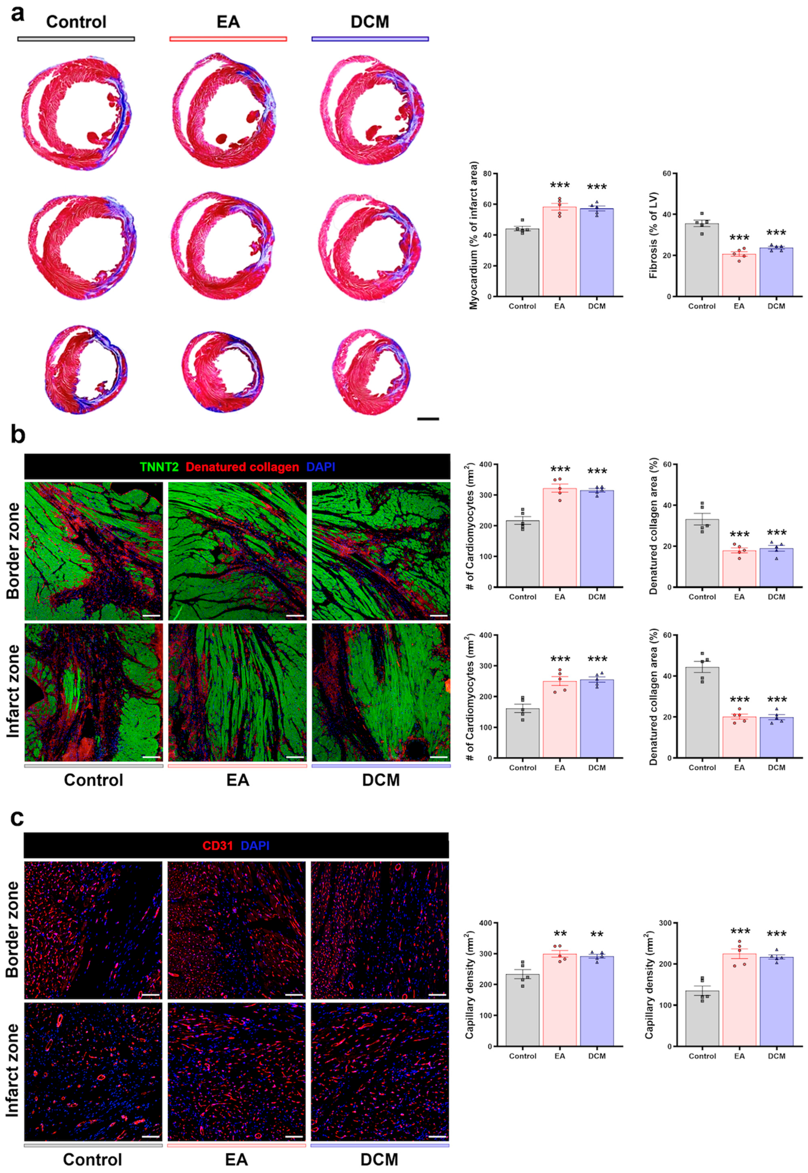 Antioxidants 14 00671 g007