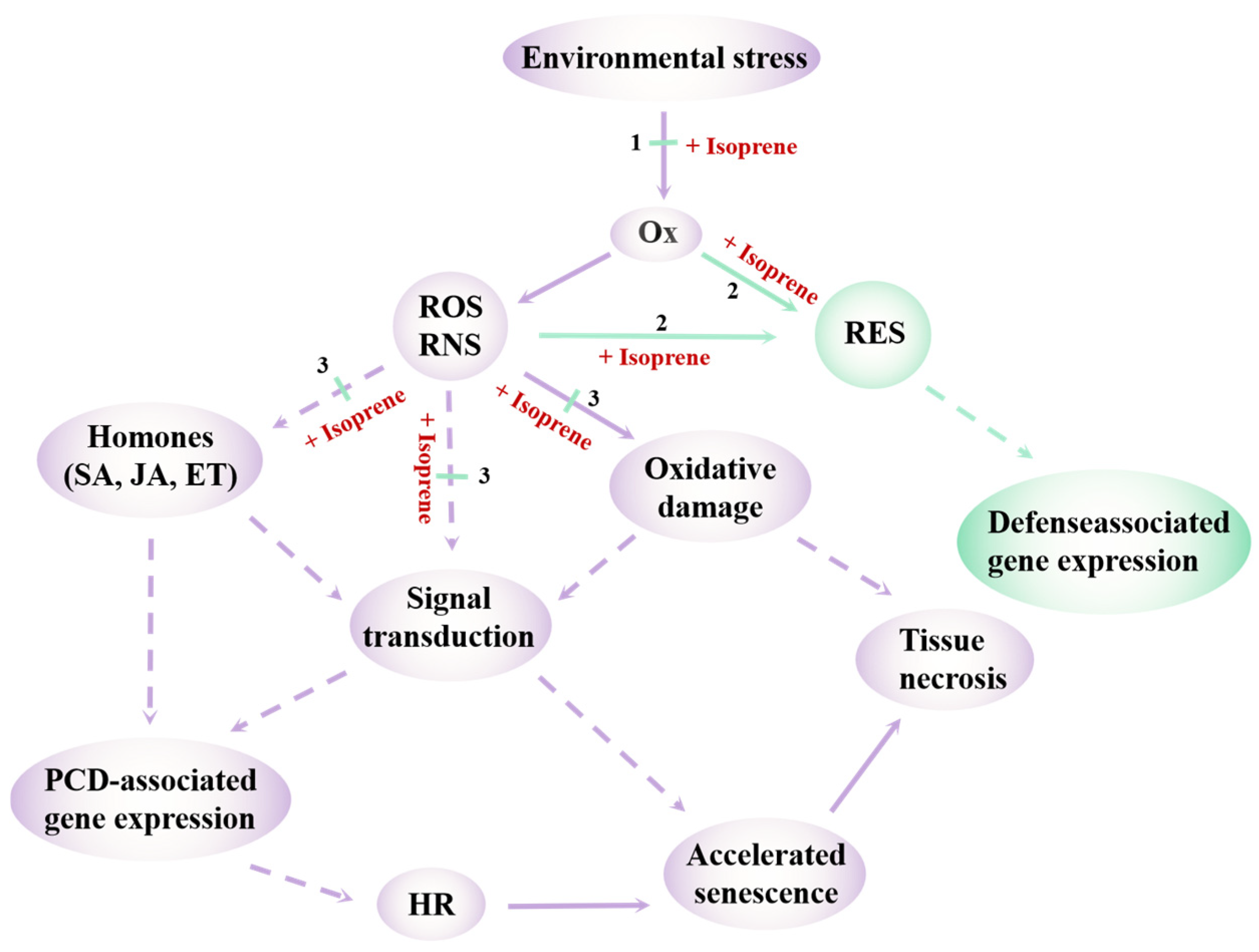 Antioxidants 14 00673 g002
