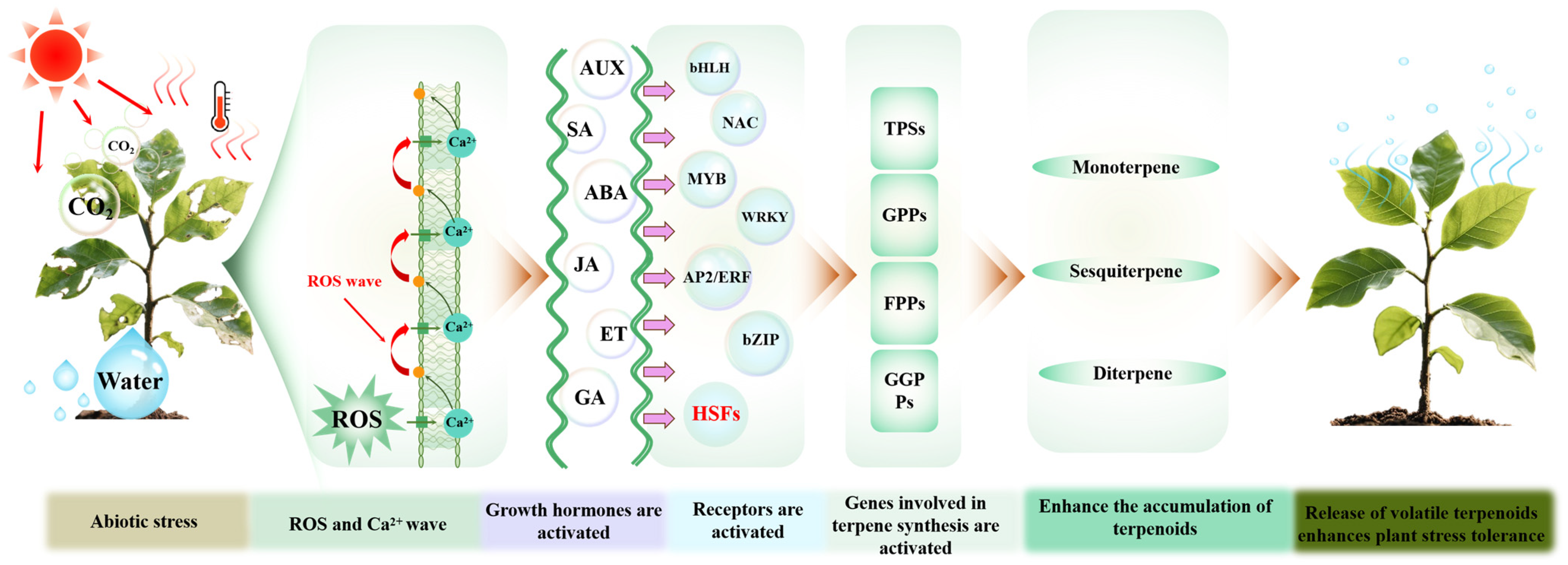 Antioxidants 14 00673 g003