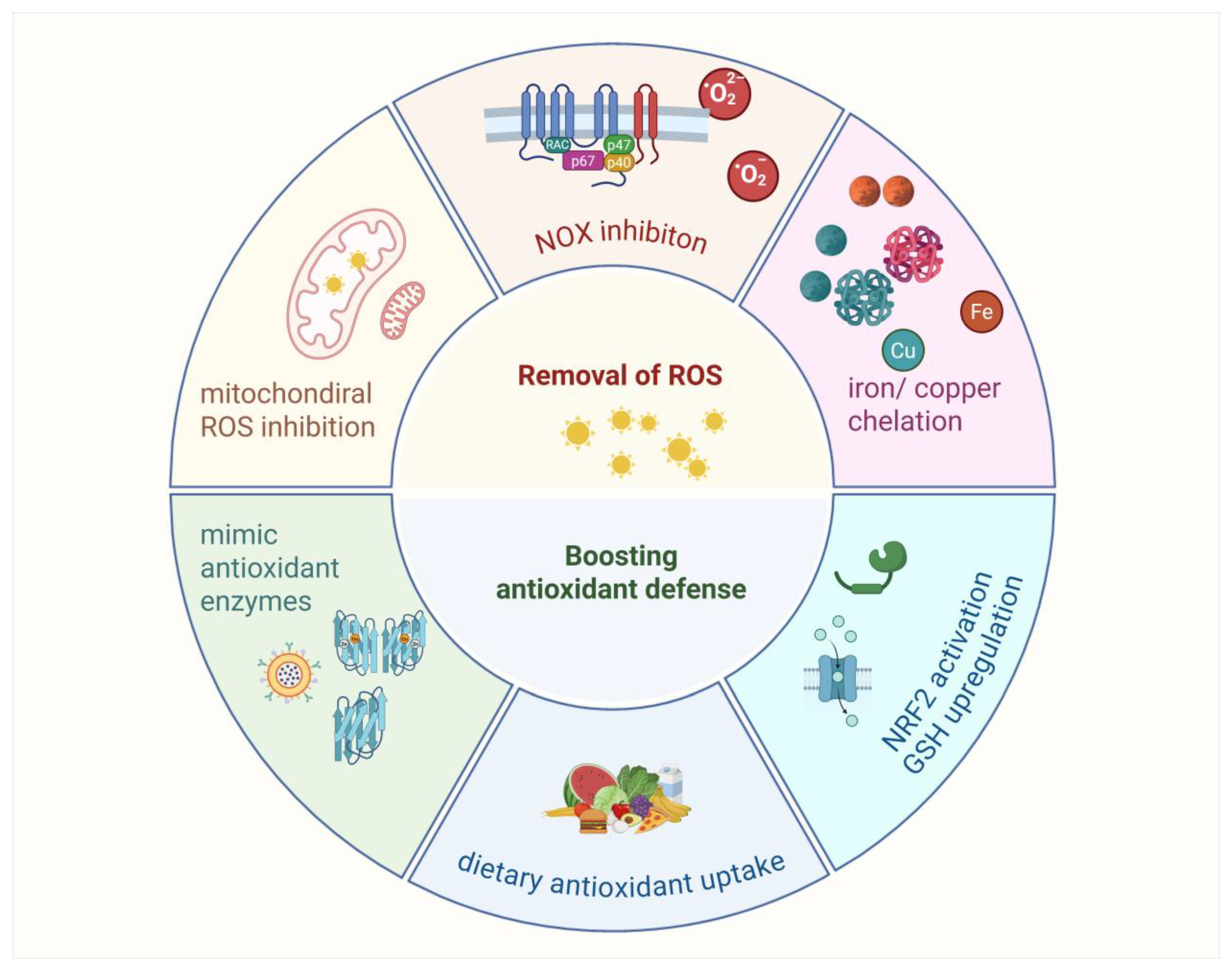 Antioxidants 14 00674 g007